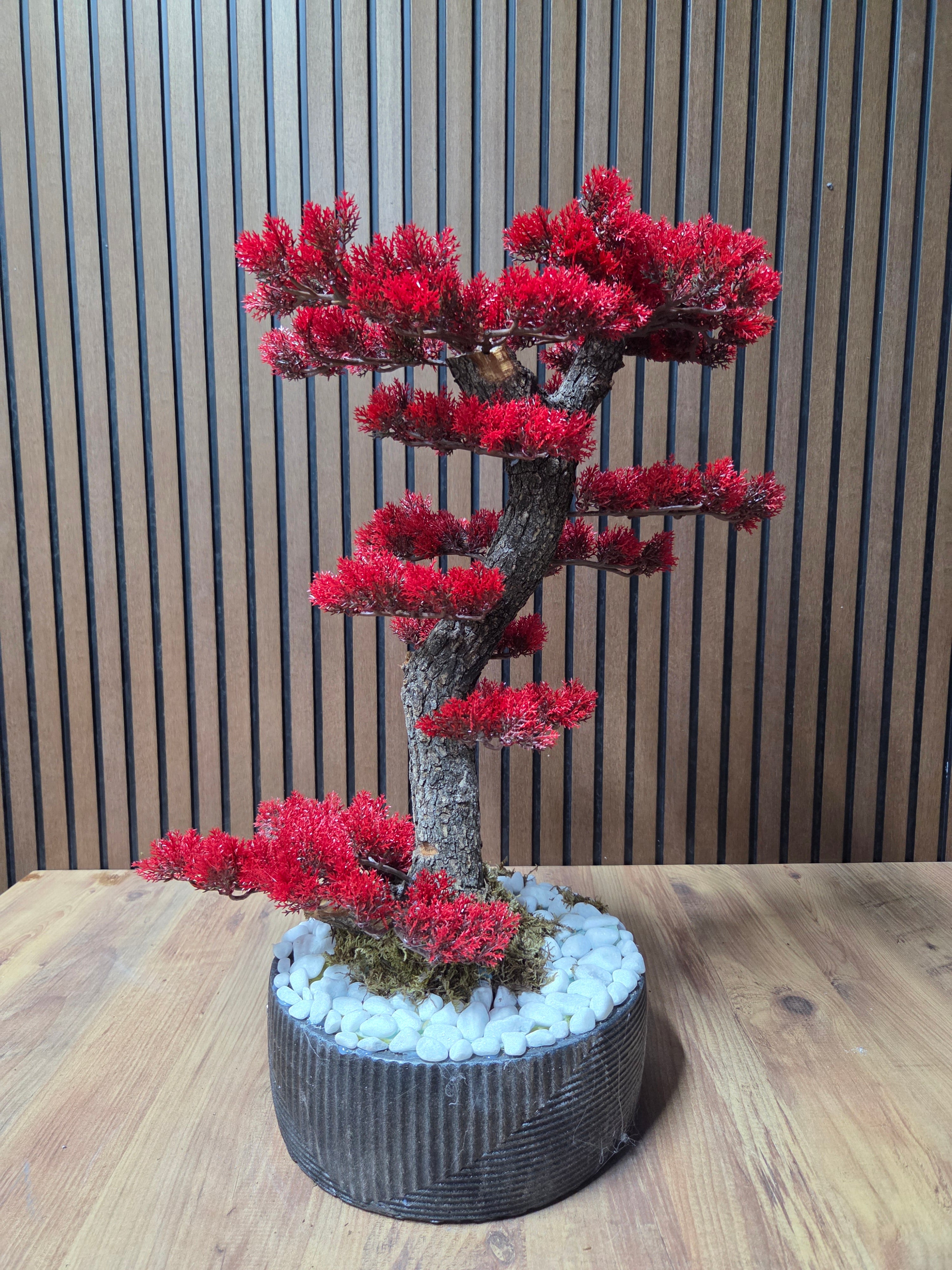 Crimson Harmony Bonsai