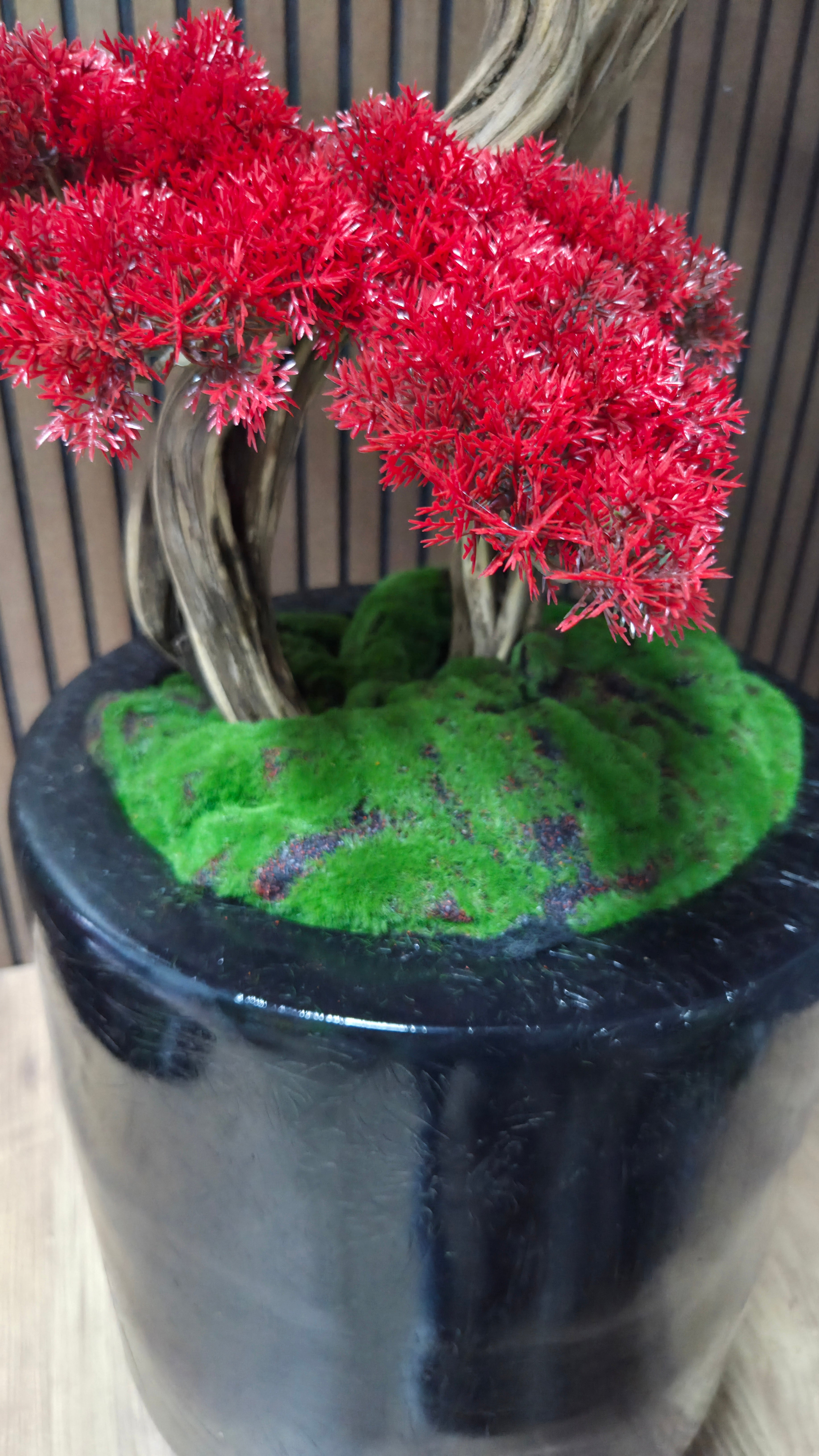 Flame Majesty Bonsai
