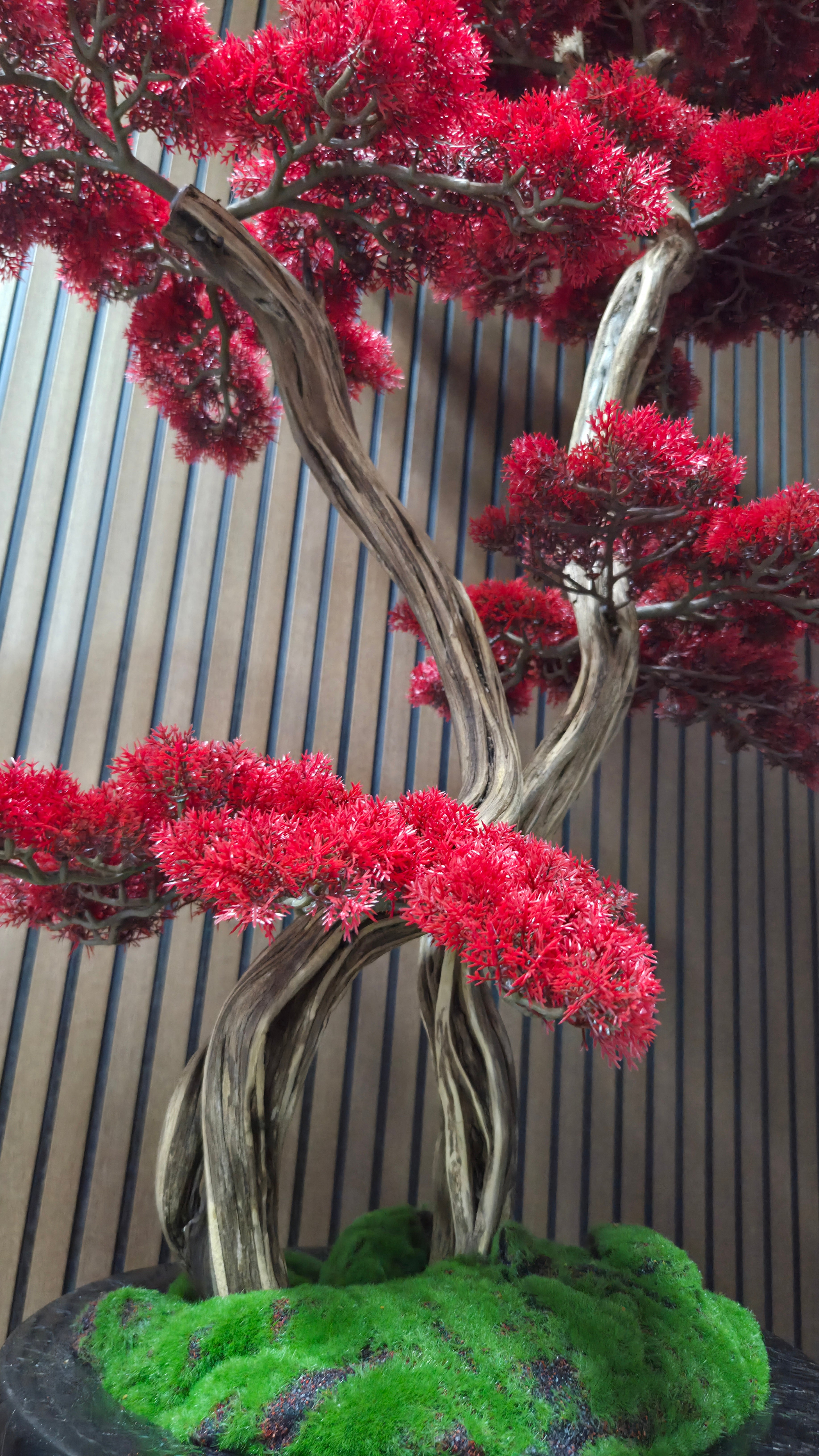 Flame Majesty Bonsai
