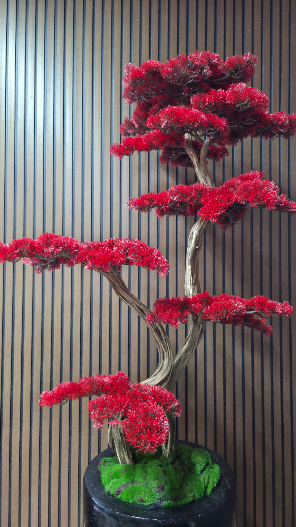 Flame Majesty Bonsai