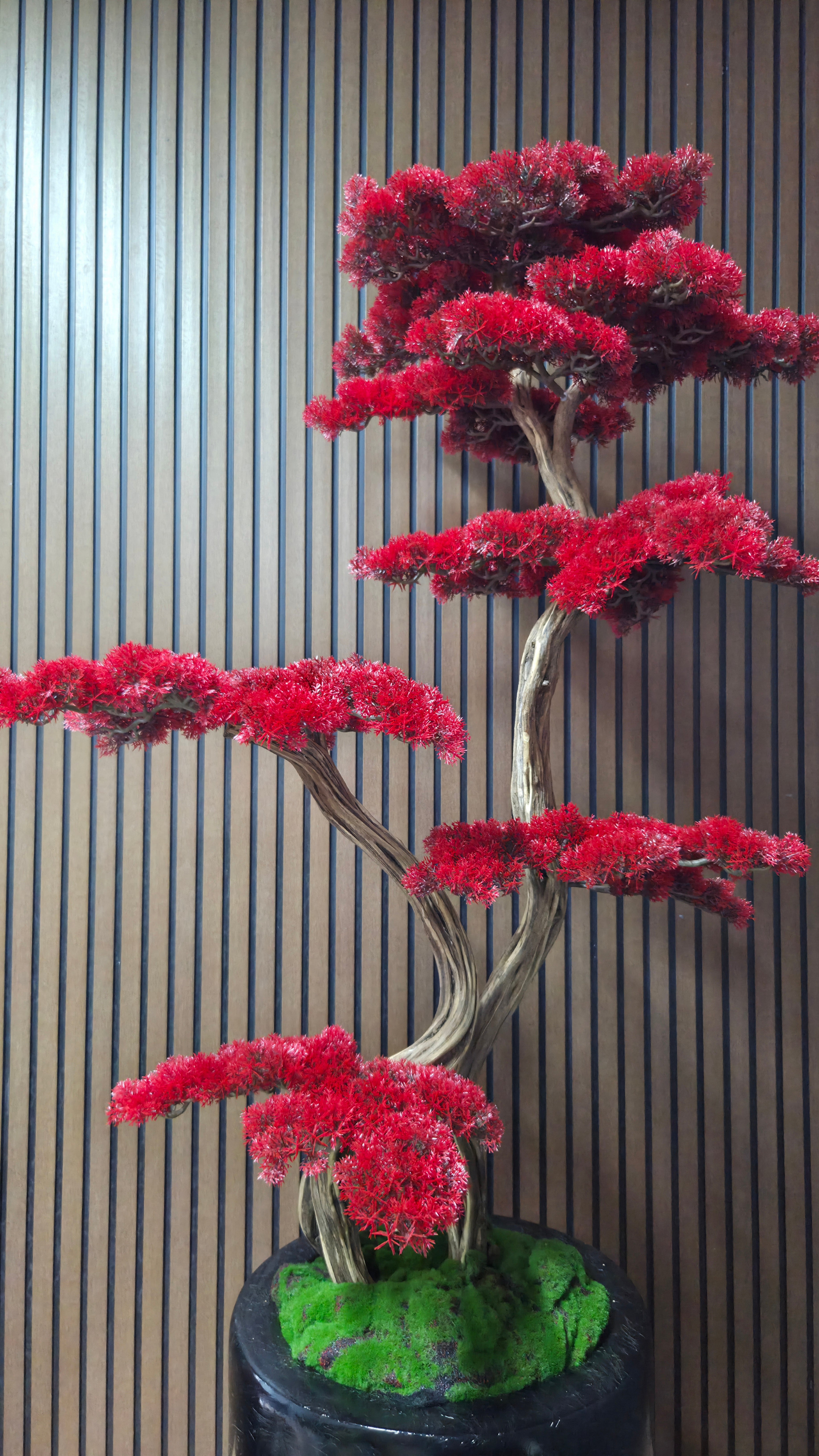 Flame Majesty Bonsai