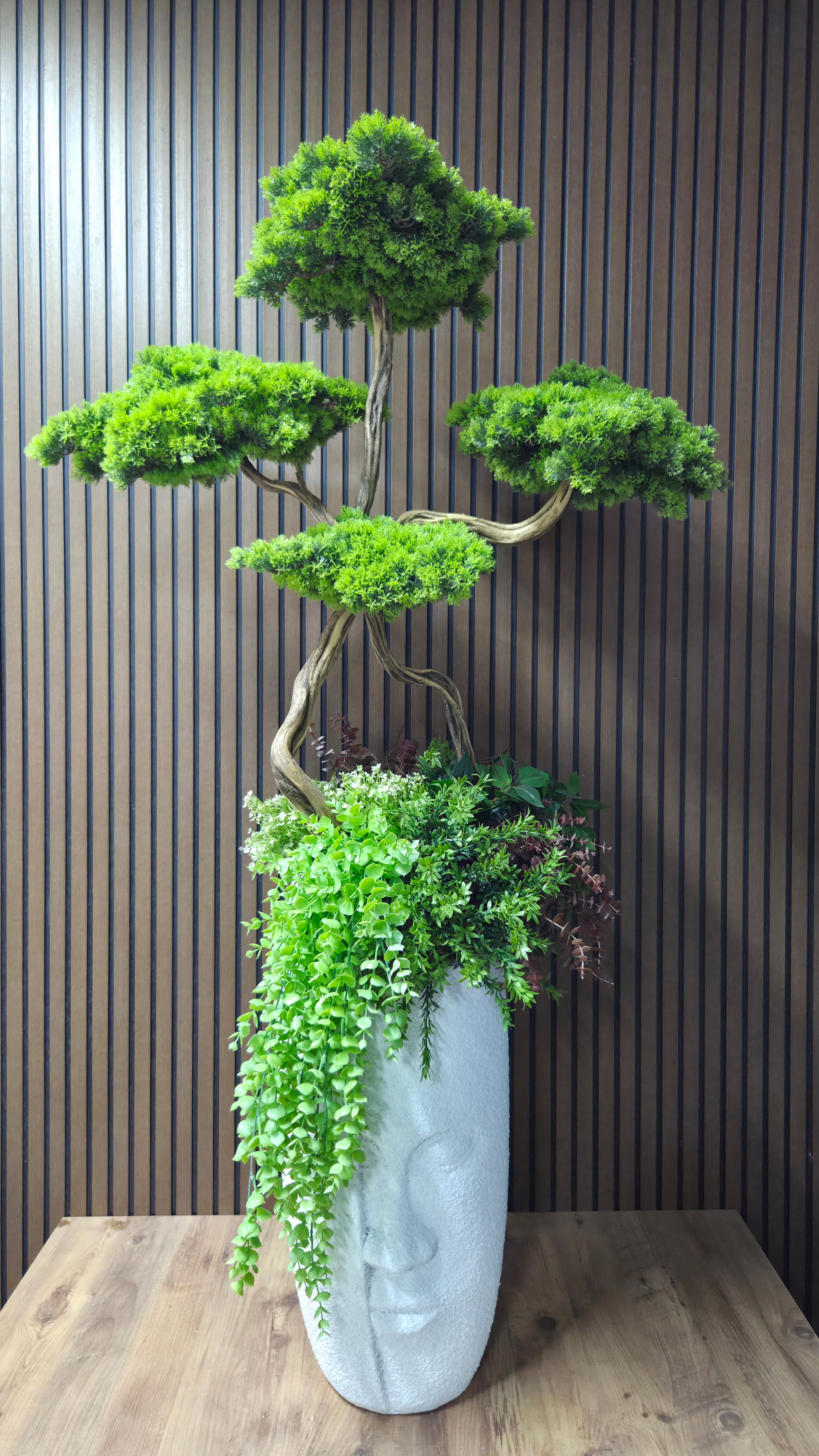 Zen Face Bonsai