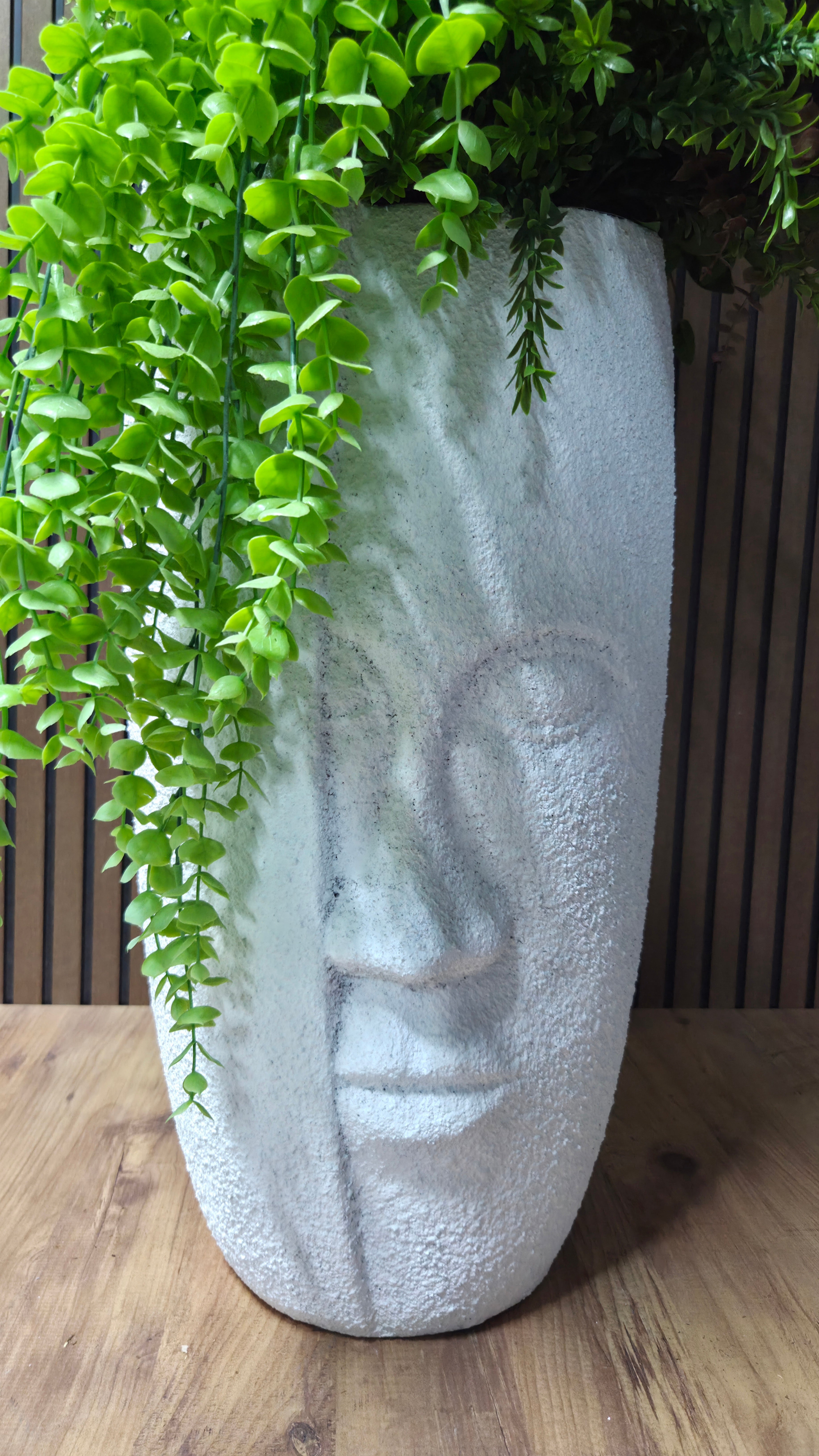 Zen Face Bonsai