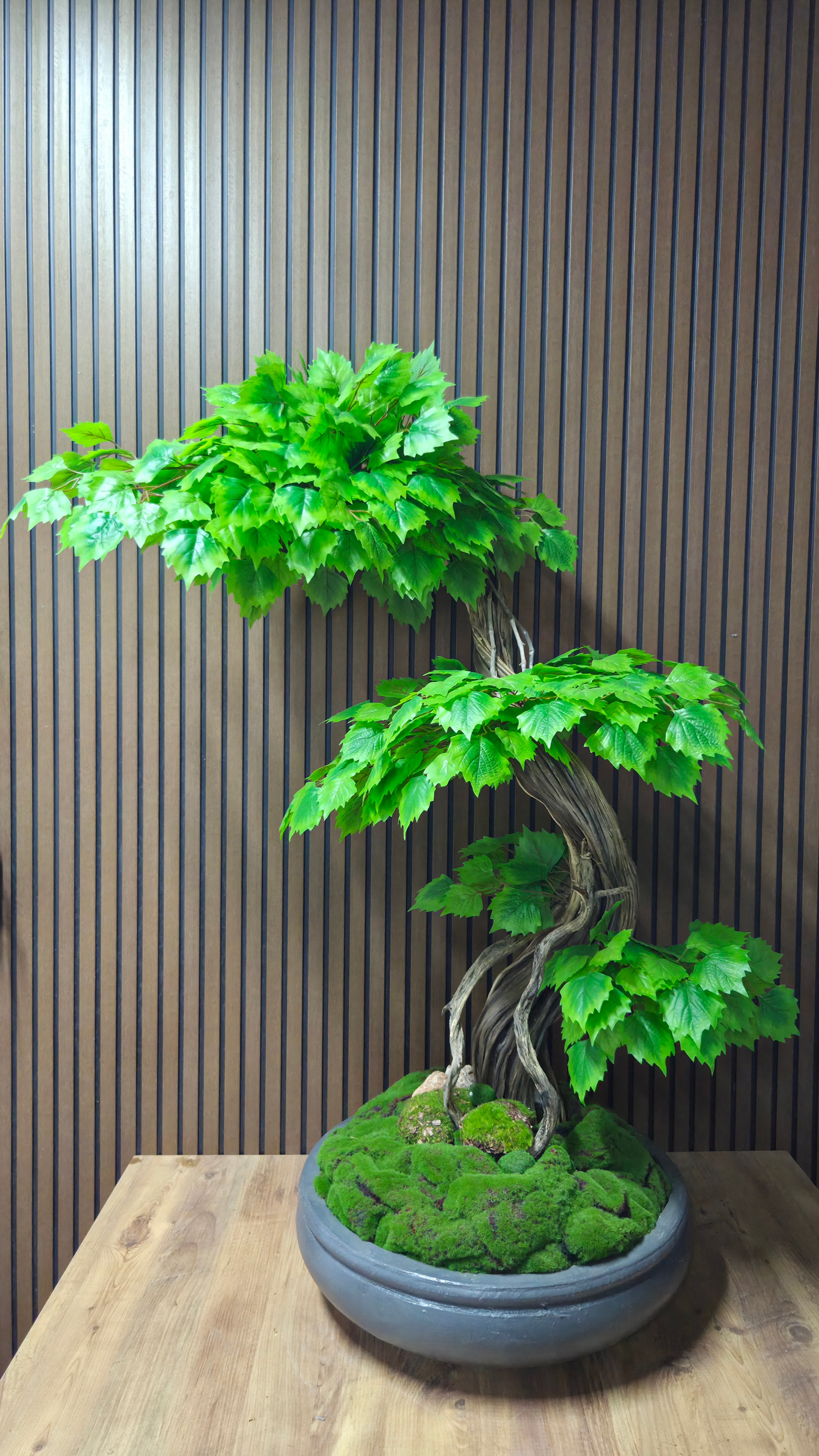 Nature Breeze Bonsai