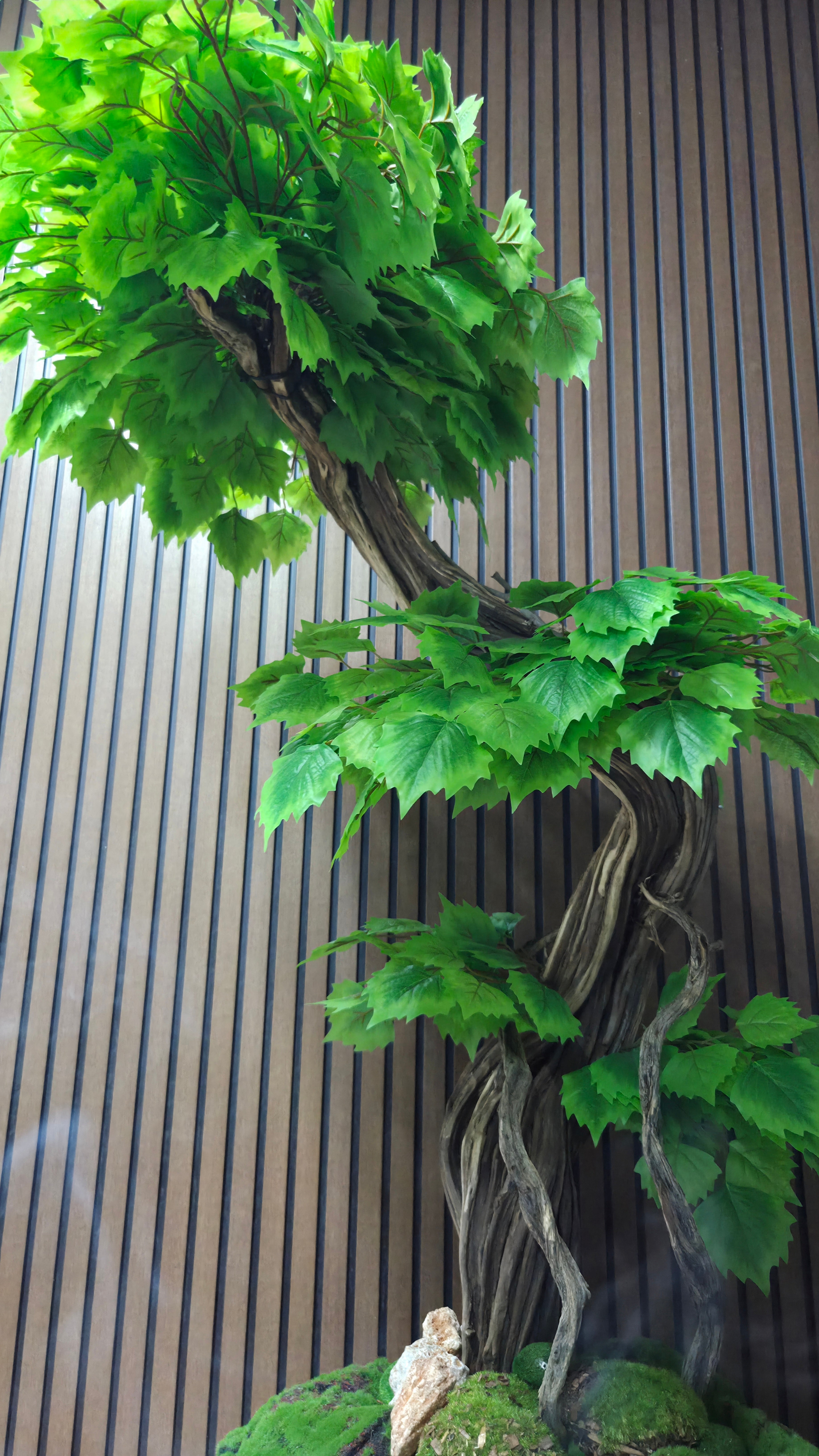 Nature Breeze Bonsai