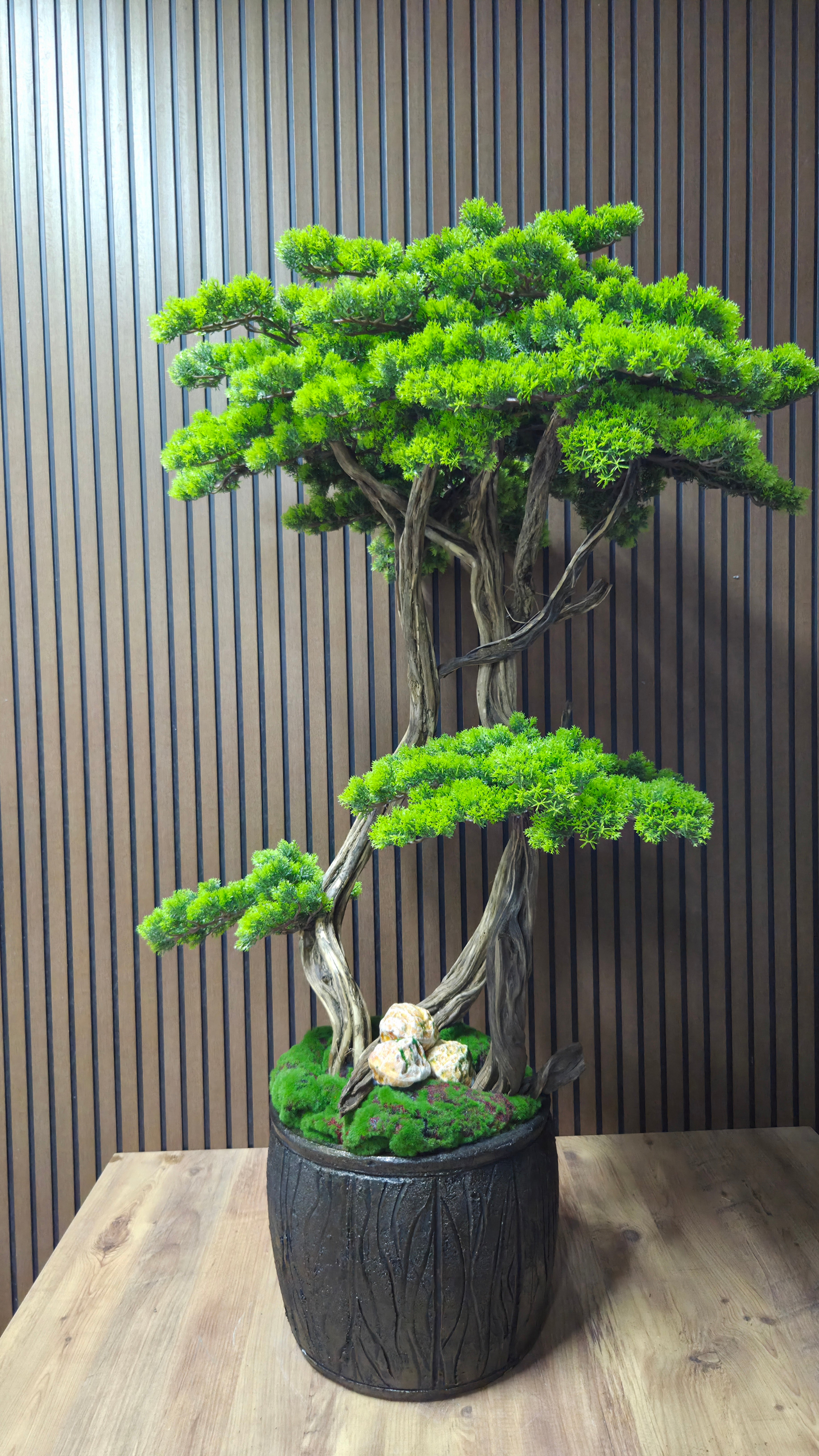 Mountain Legend Bonsai