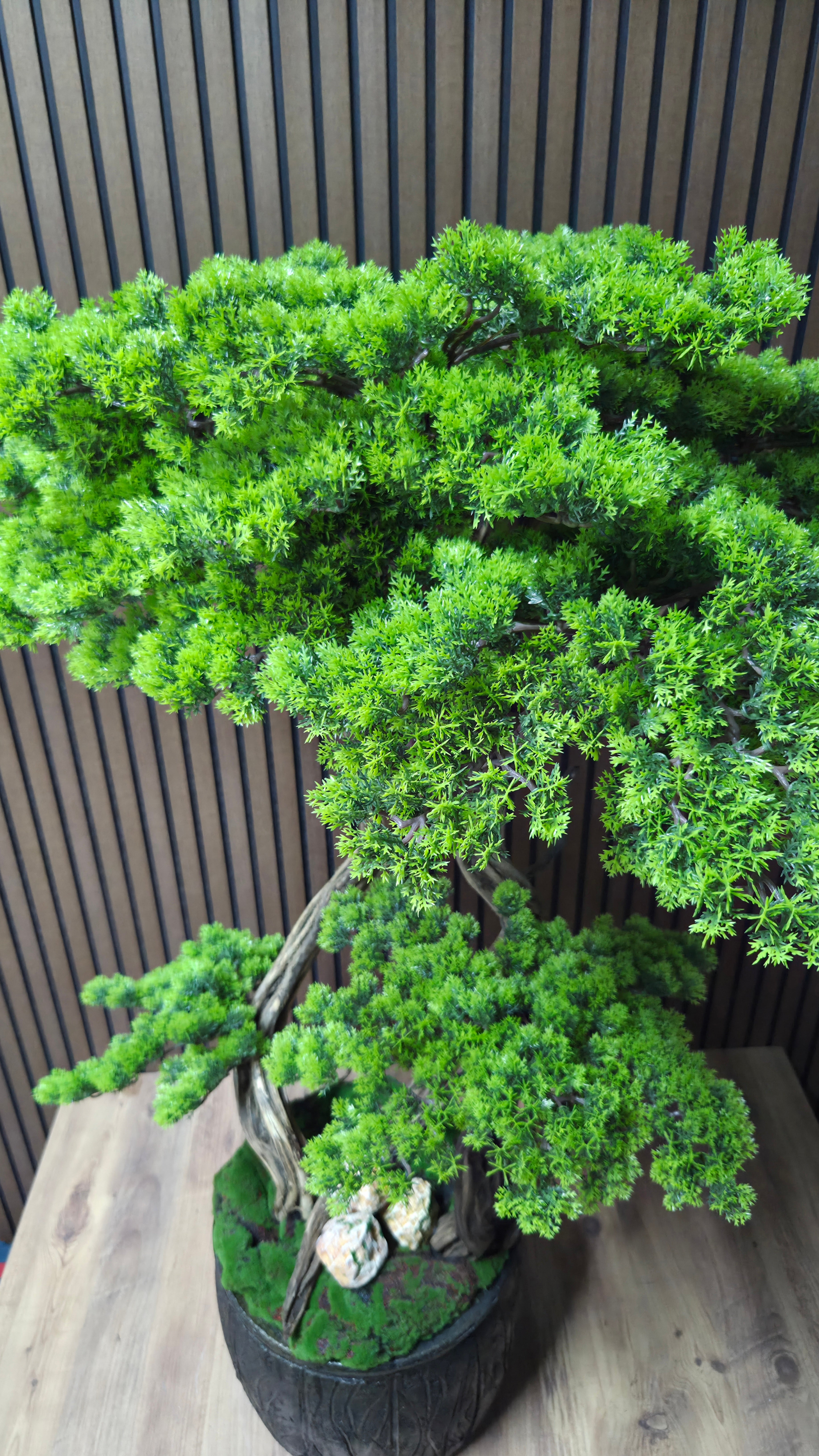 Mountain Legend Bonsai
