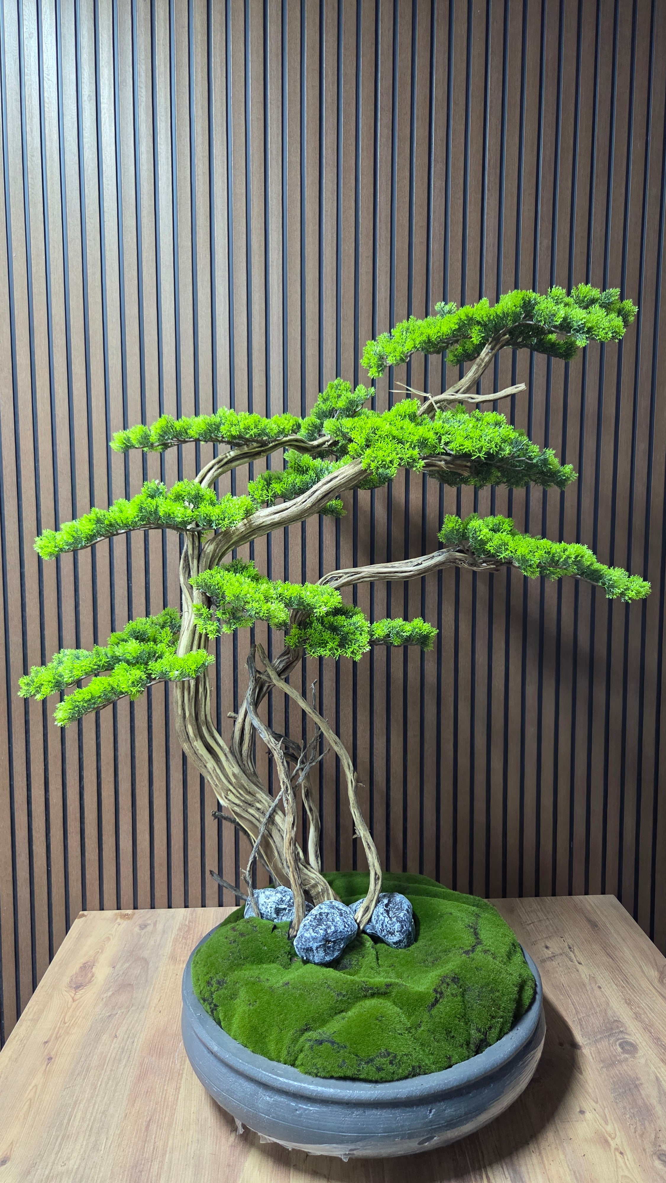 Dance of the Wind Bonsai