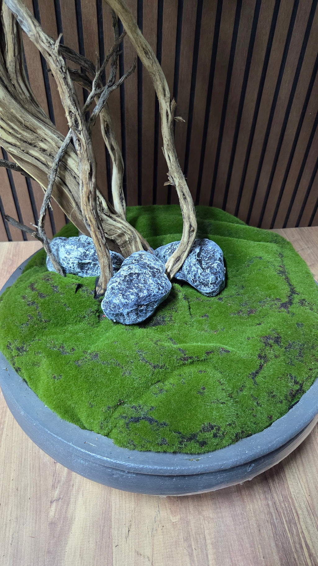 Dance of the Wind Bonsai