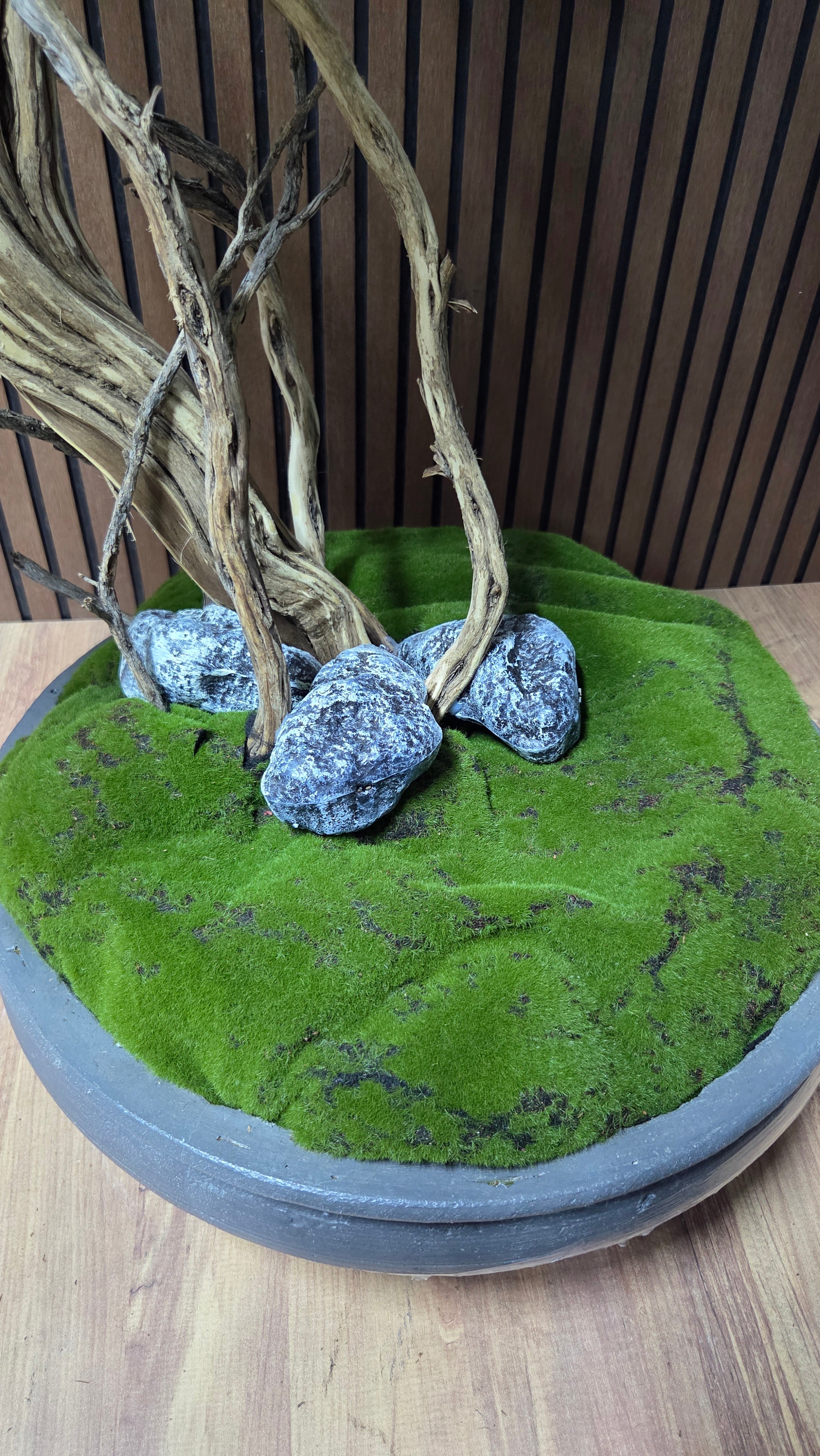 Dance of the Wind Bonsai