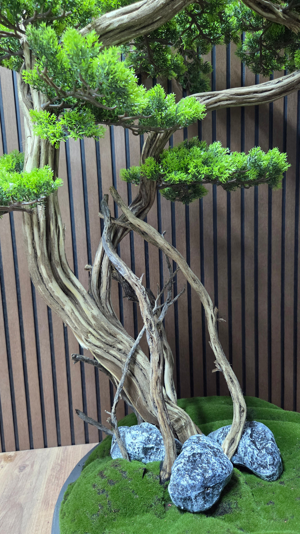 Dance of the Wind Bonsai