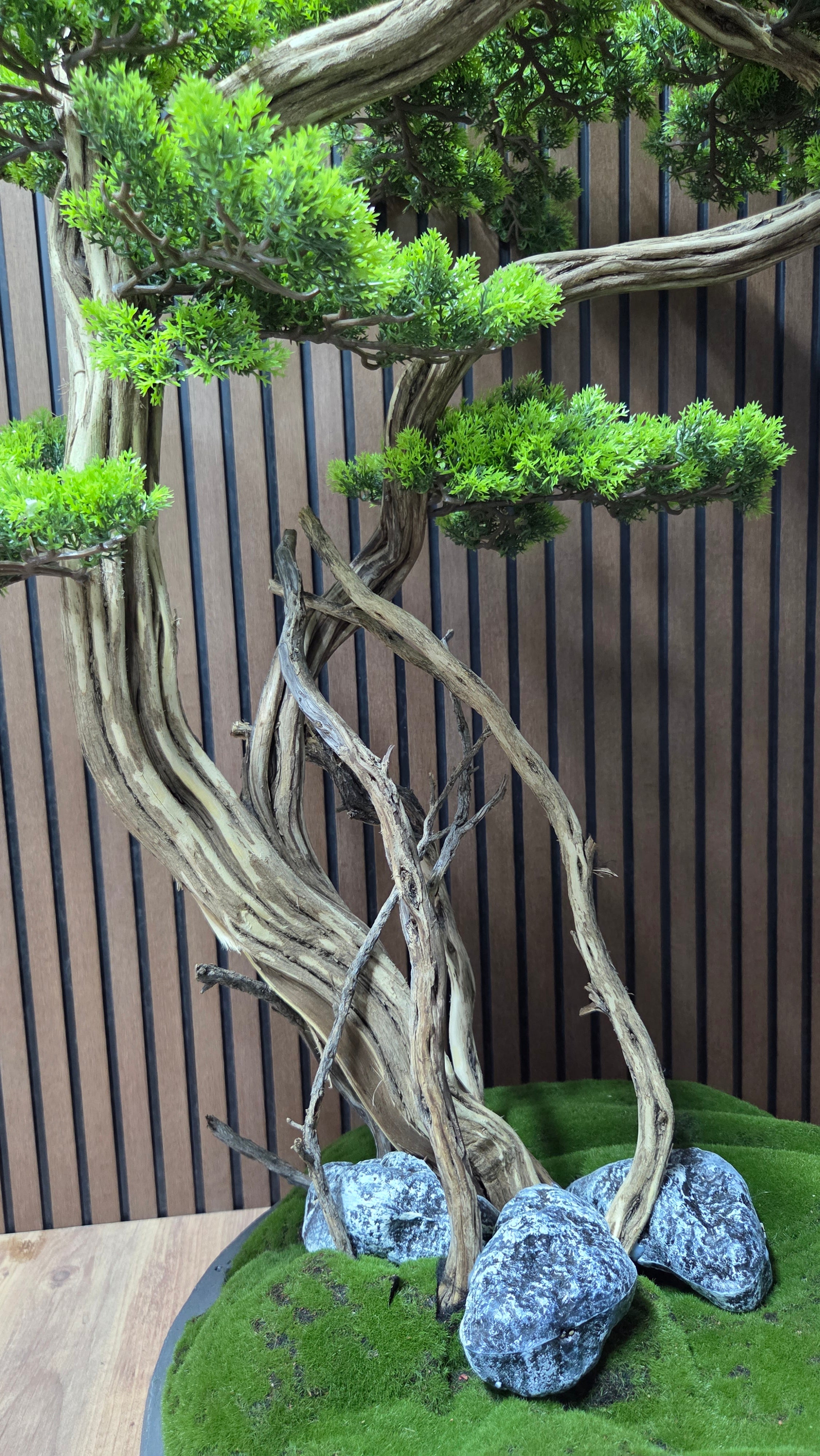 Dance of the Wind Bonsai
