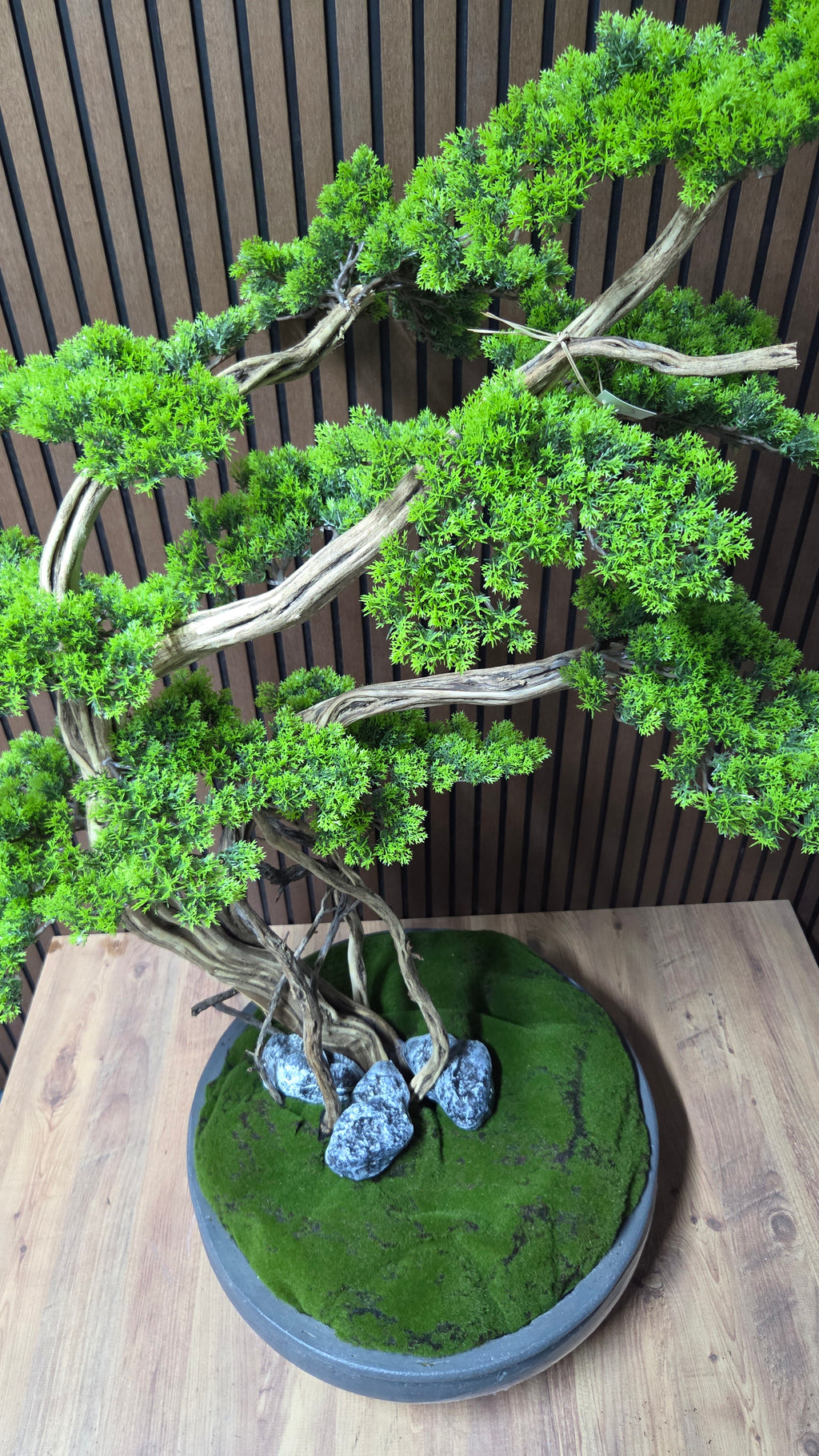 Dance of the Wind Bonsai