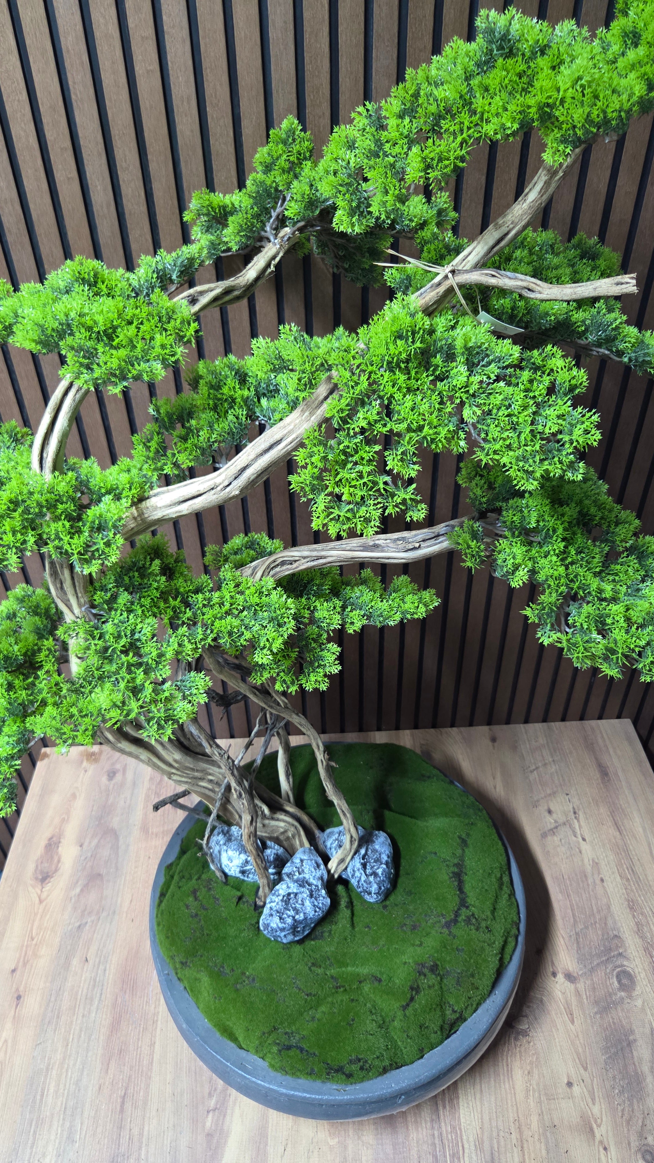 Dance of the Wind Bonsai