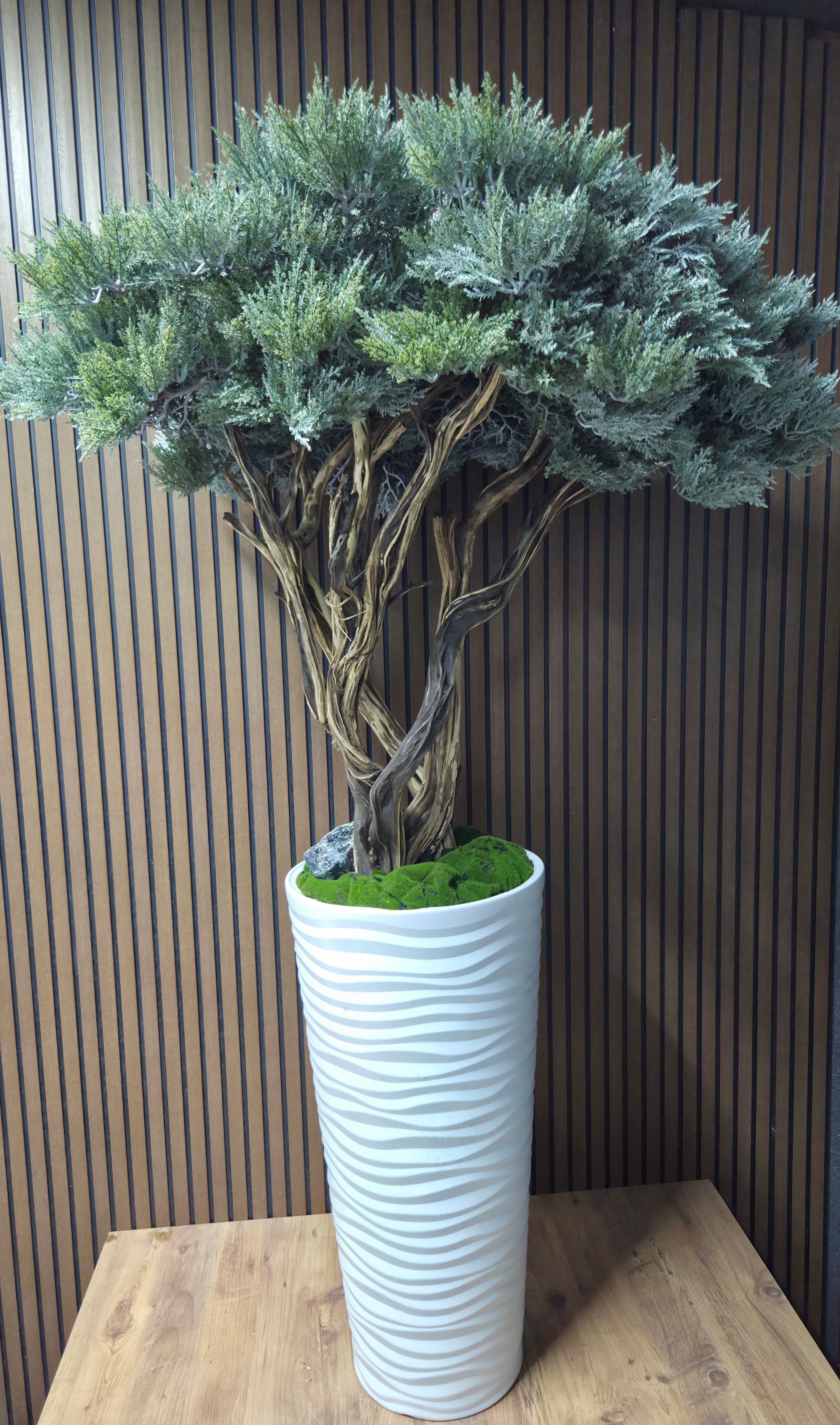 White Wave Bonsai