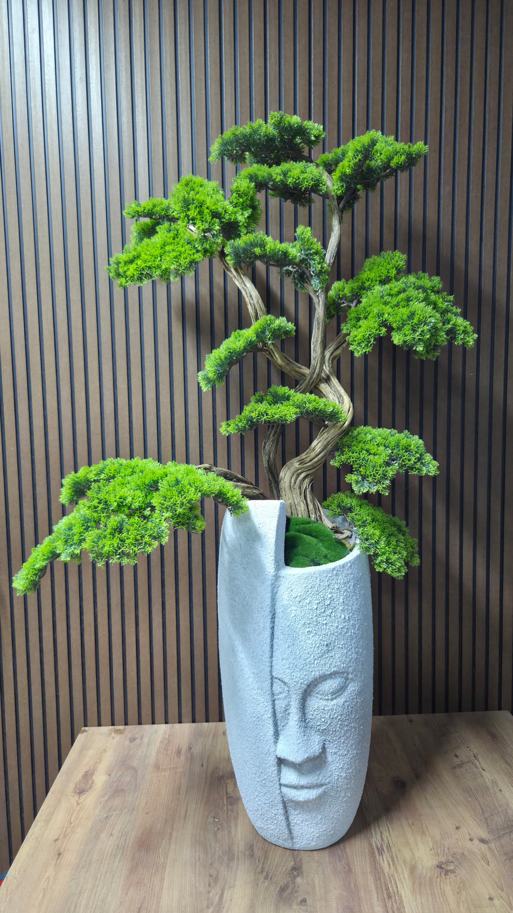 Zen Face Bonsai II