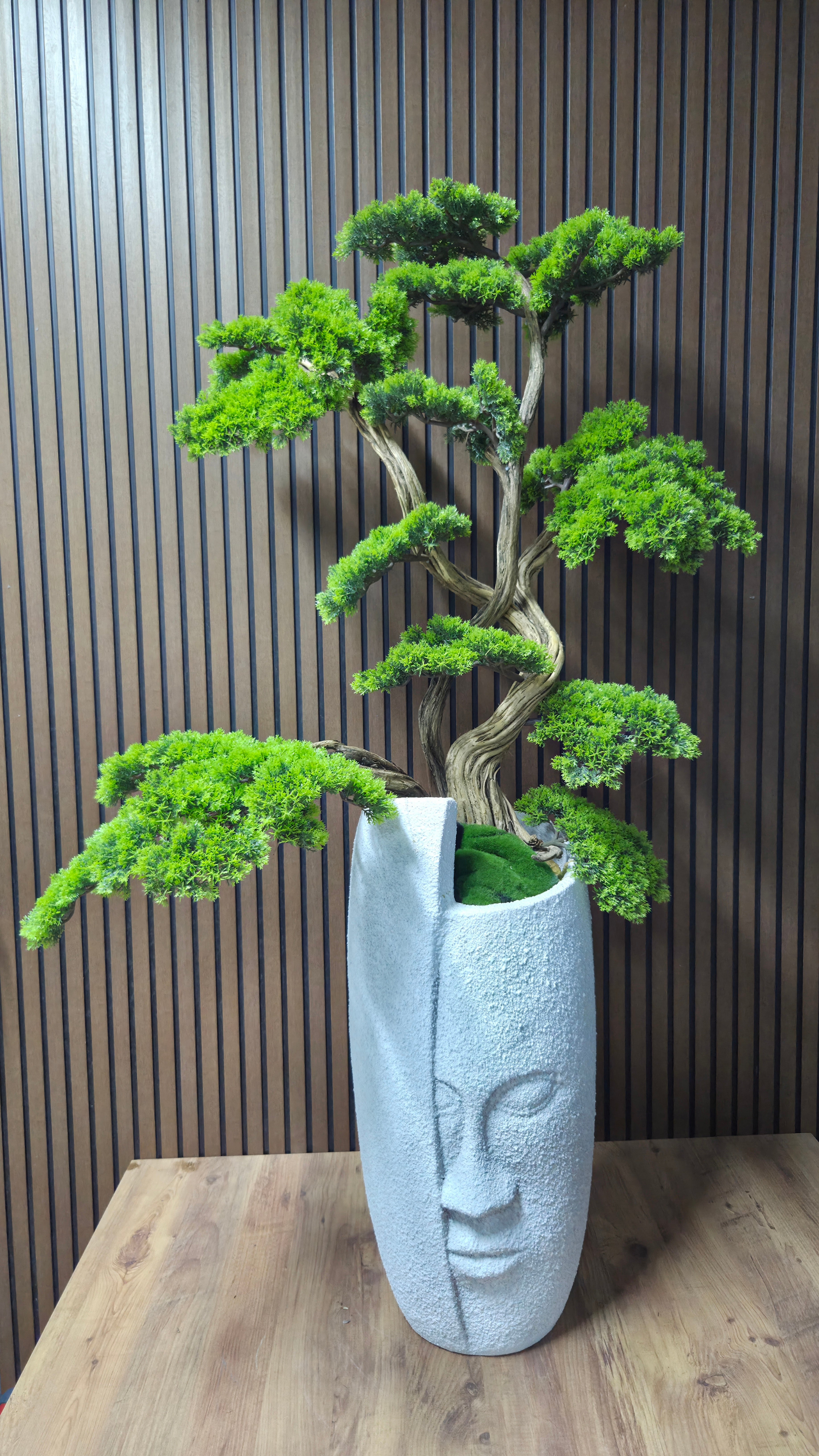 Zen Face Bonsai II