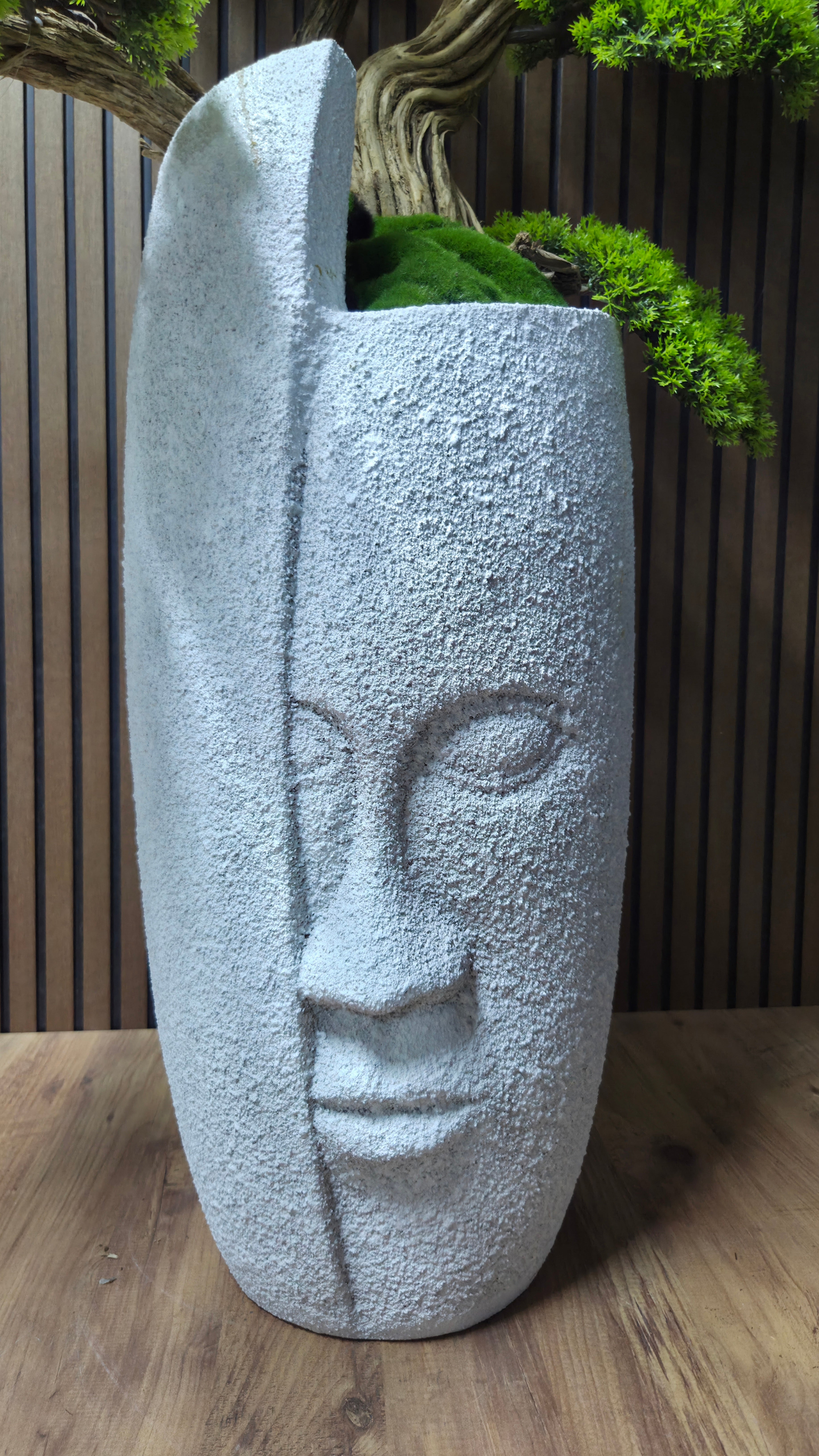 Zen Face Bonsai II