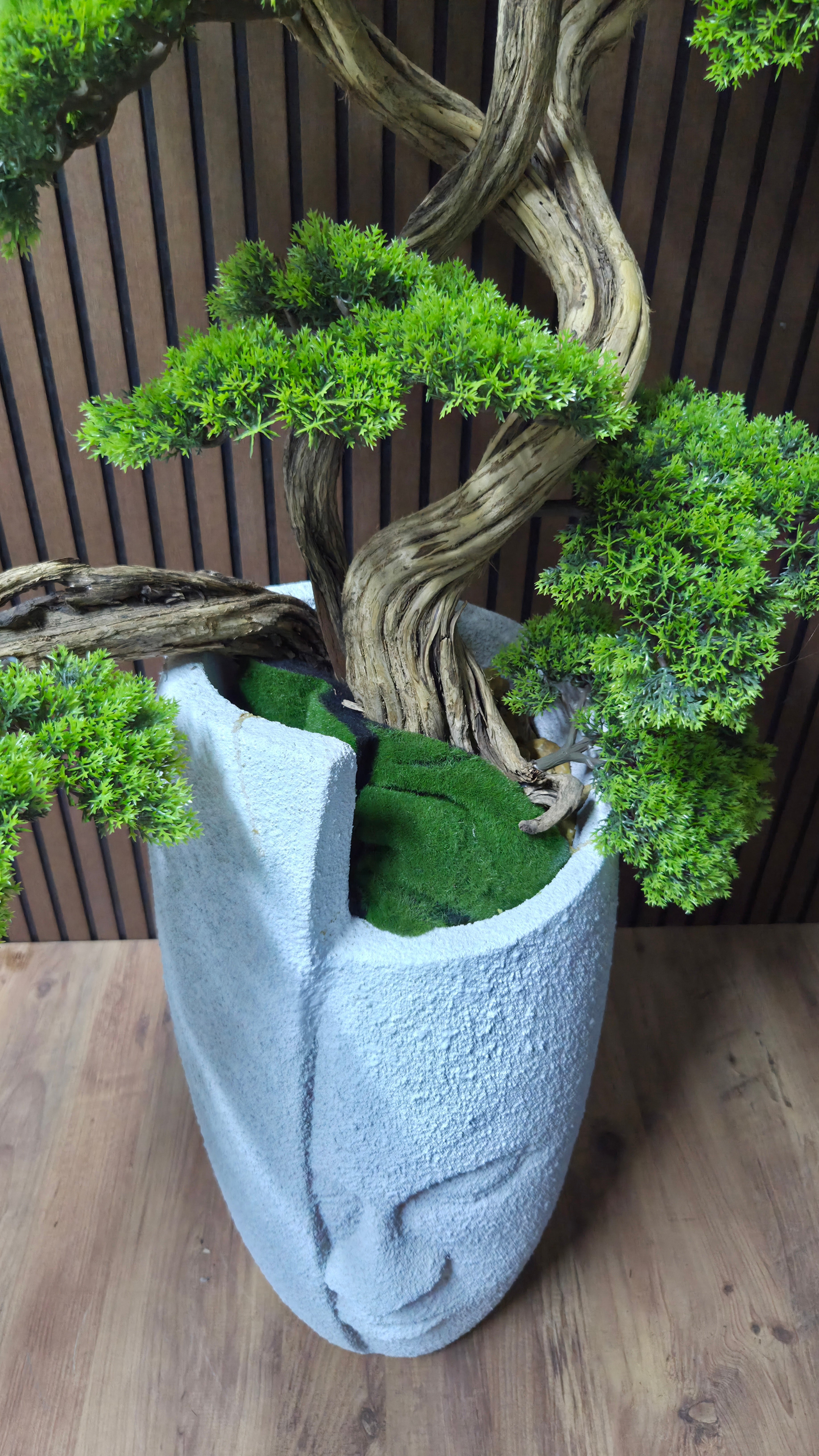 Zen Face Bonsai II