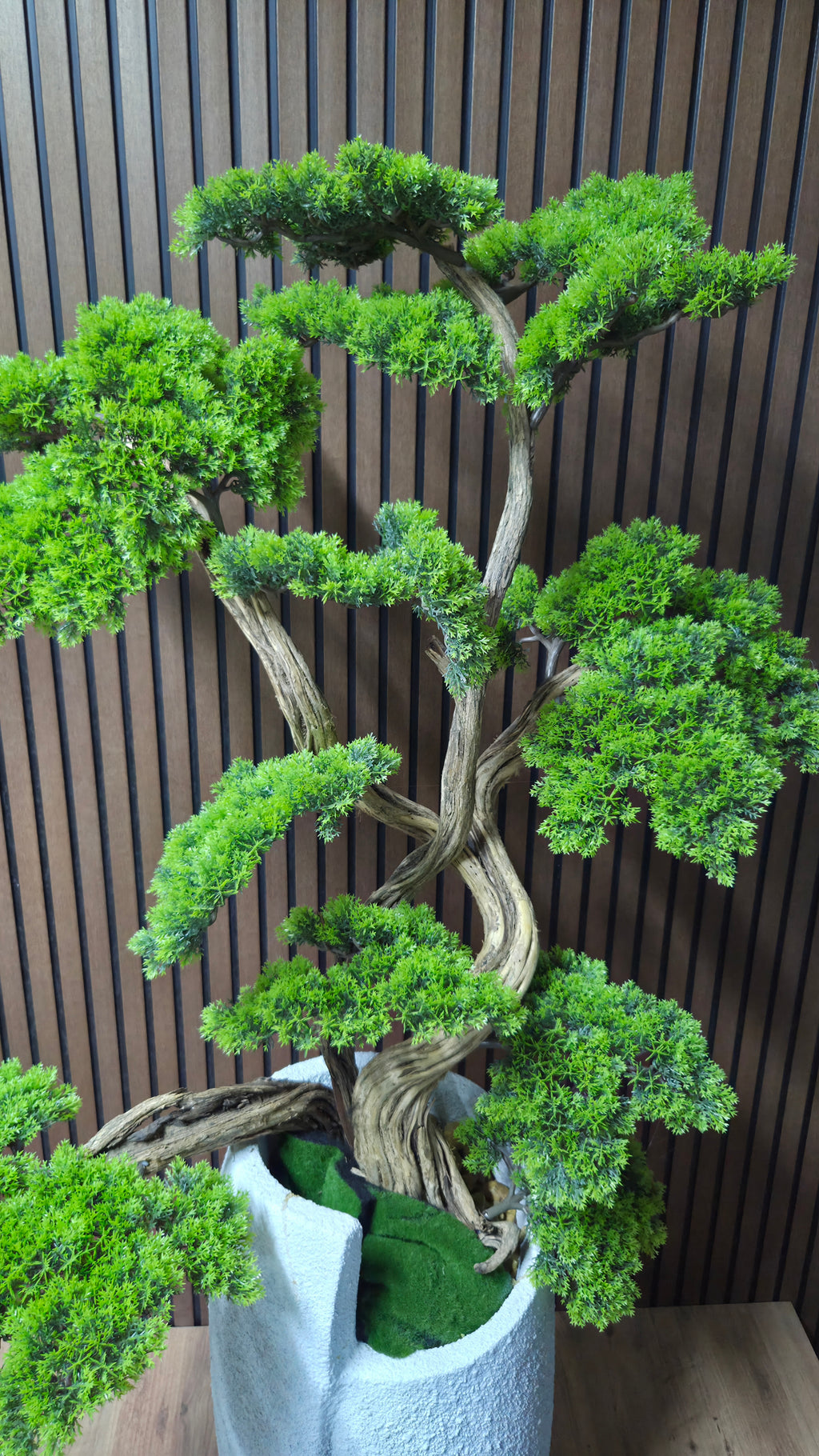 Zen Face Bonsai II