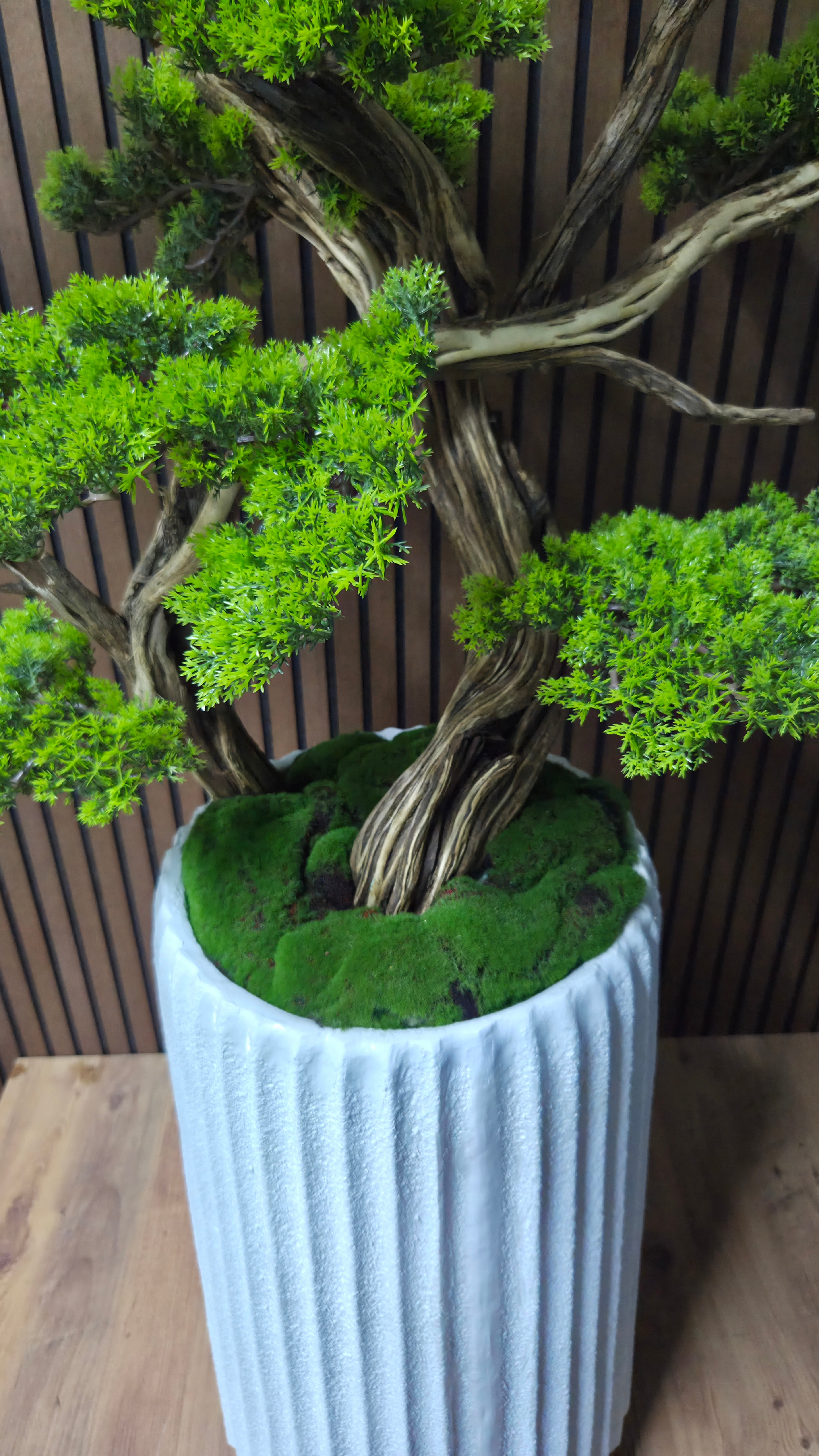 White Elegance Bonsai