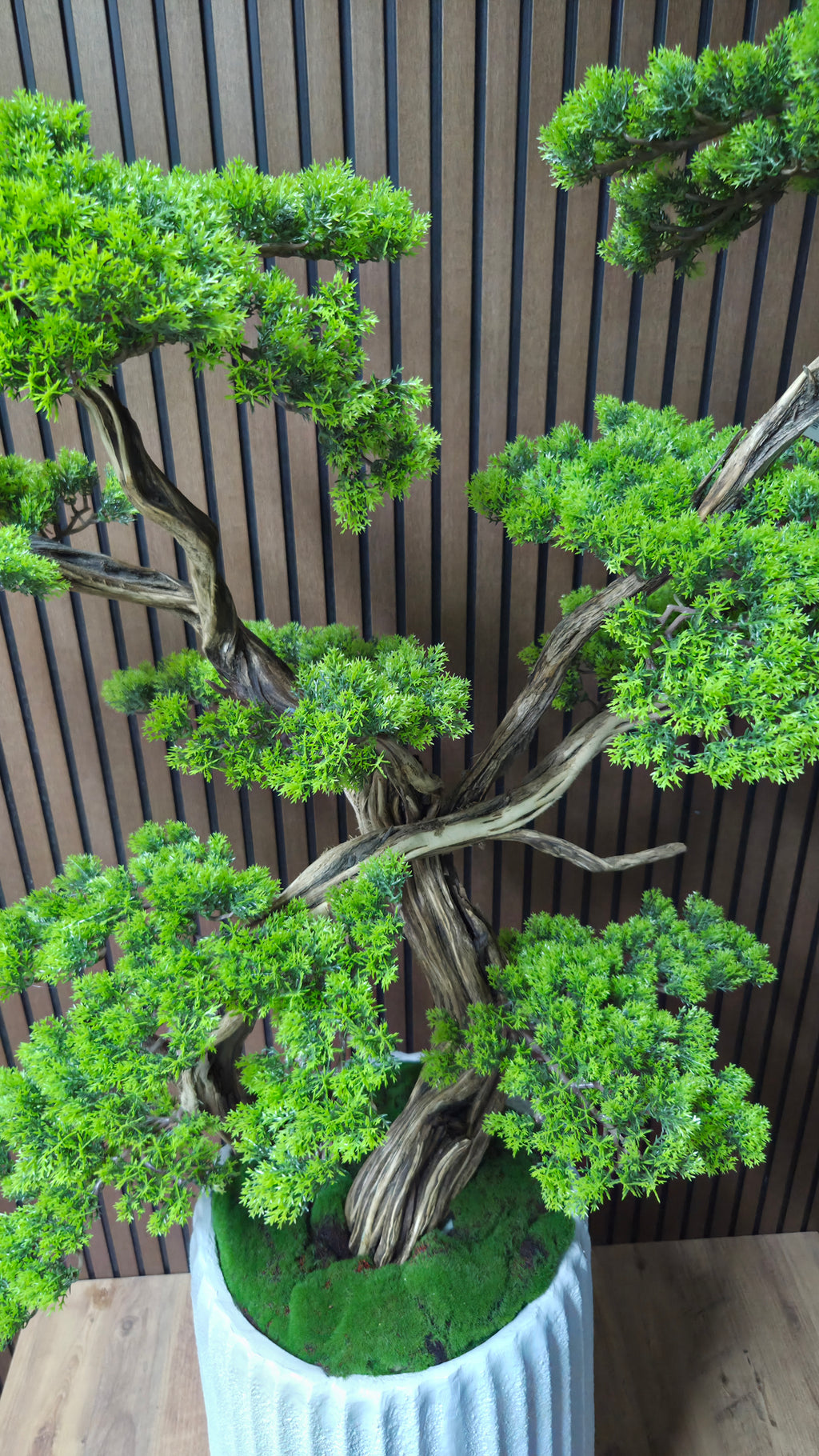 White Elegance Bonsai