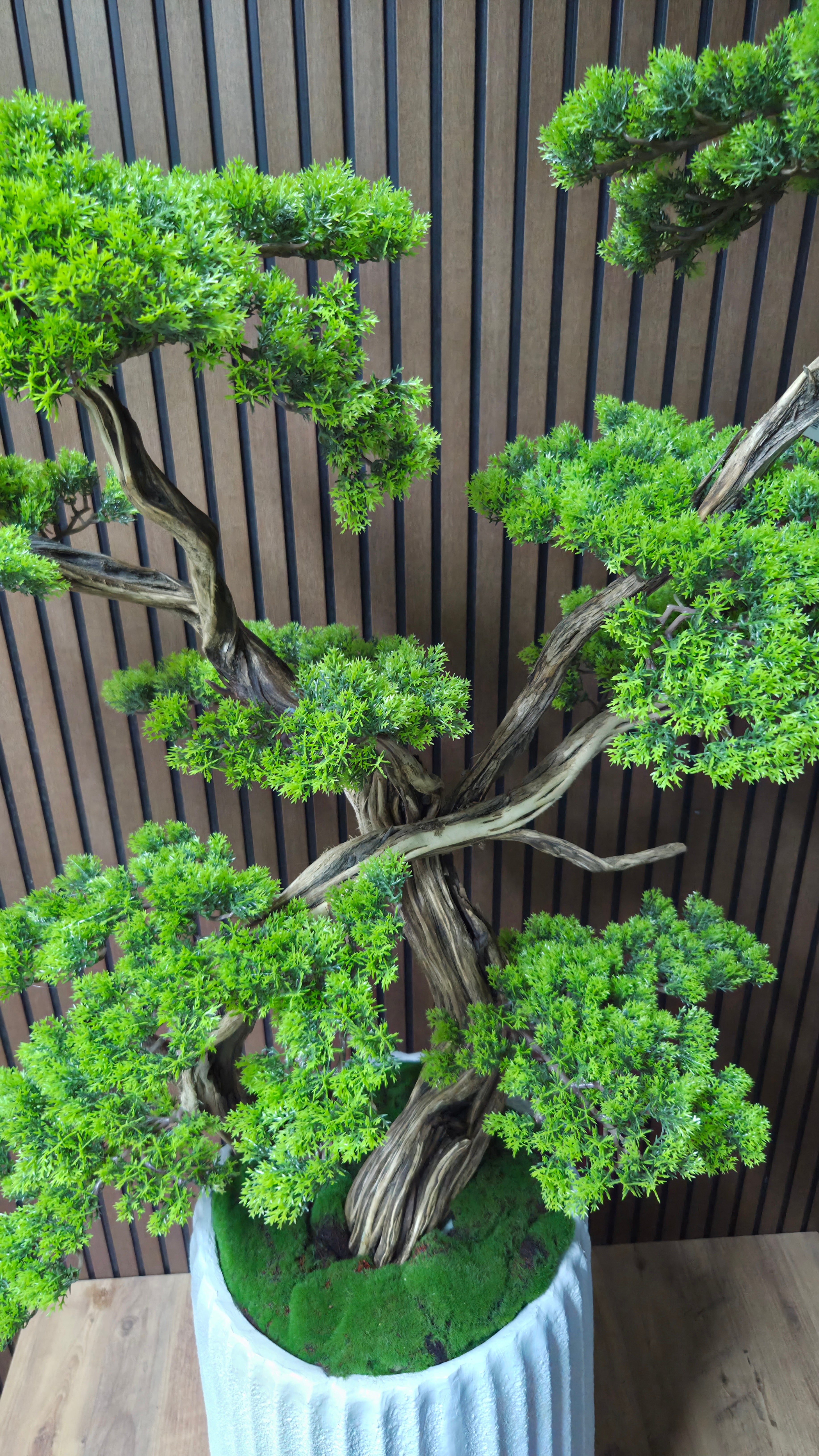 White Elegance Bonsai