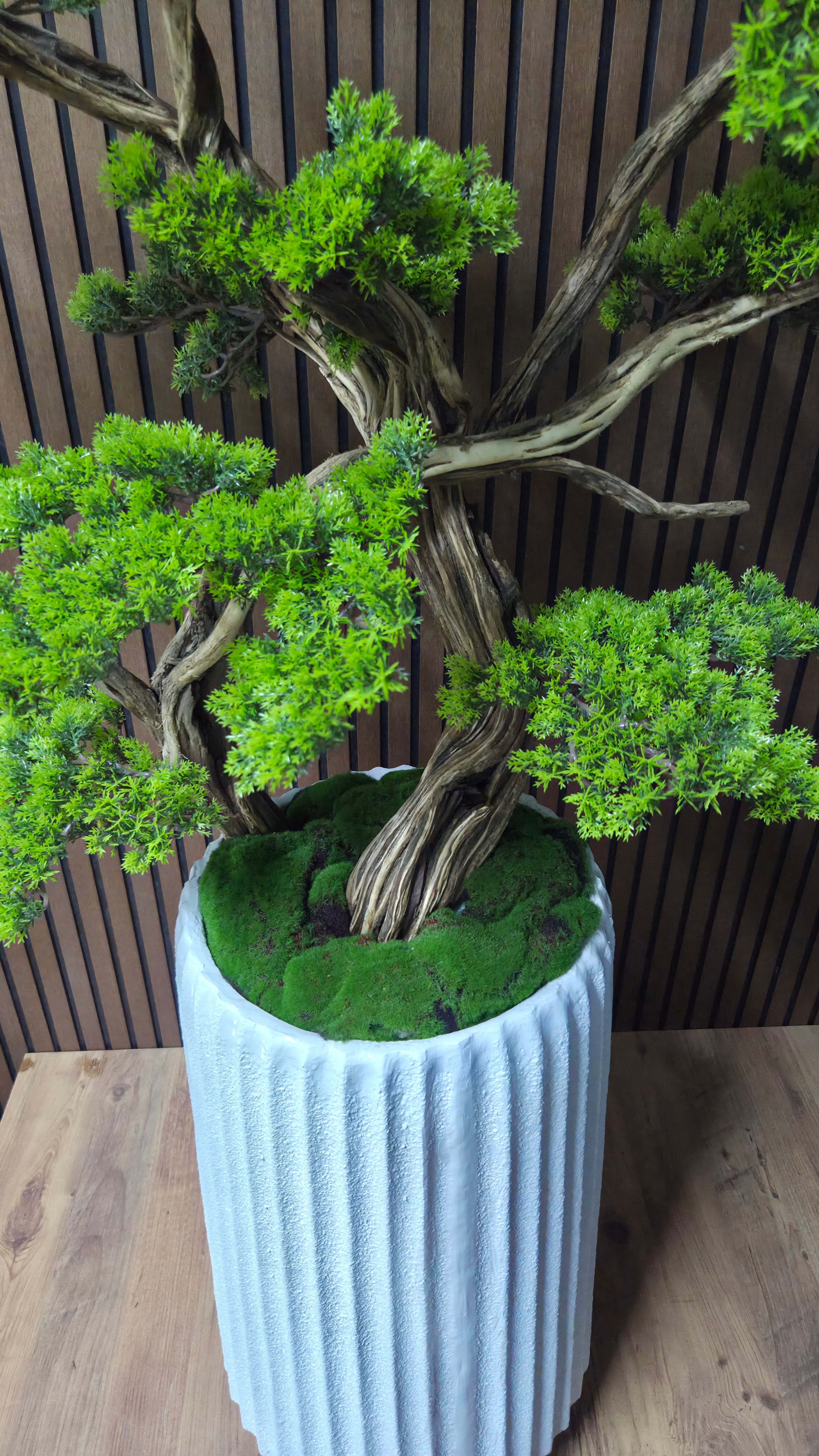 White Elegance Bonsai