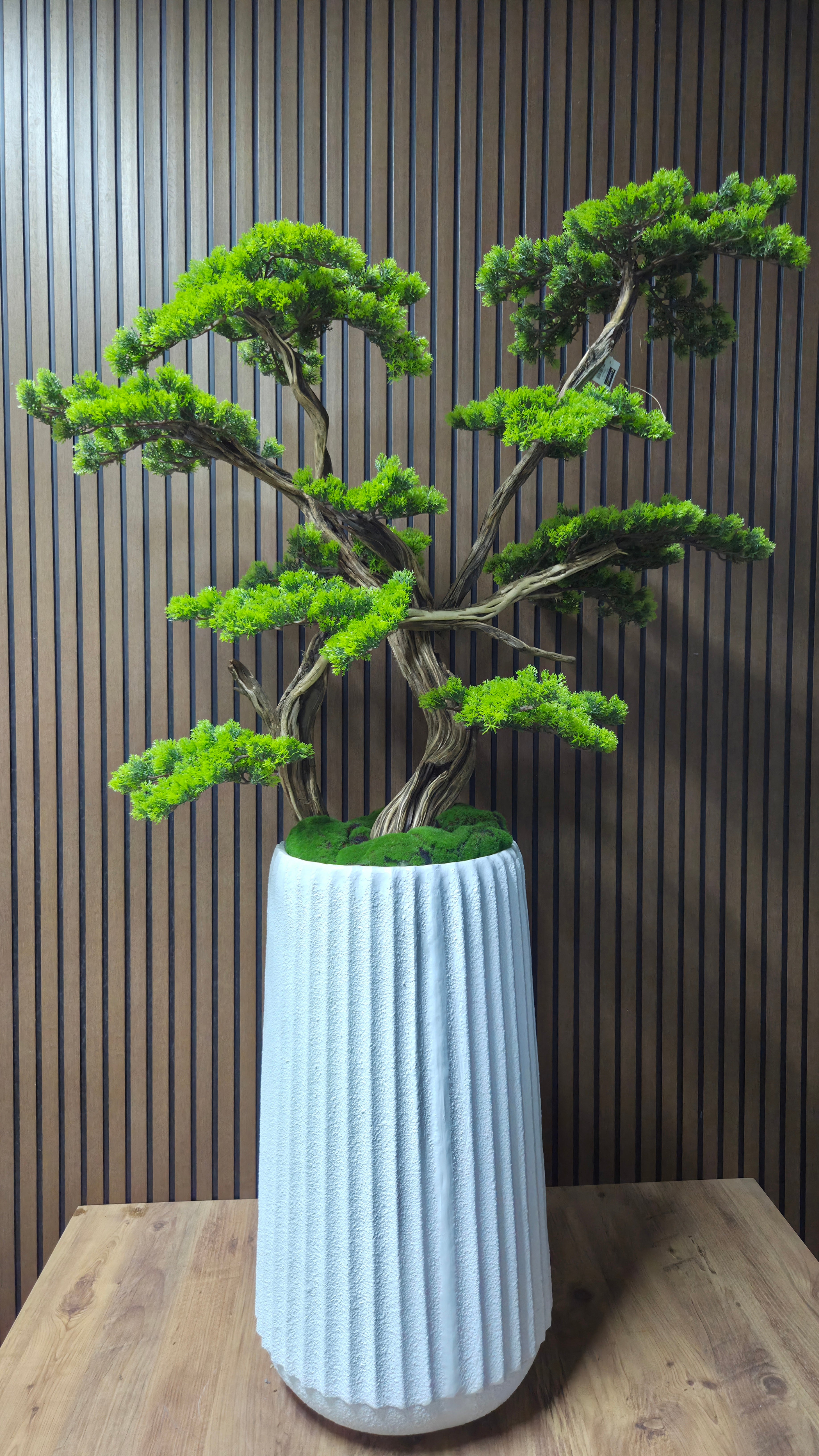 White Elegance Bonsai