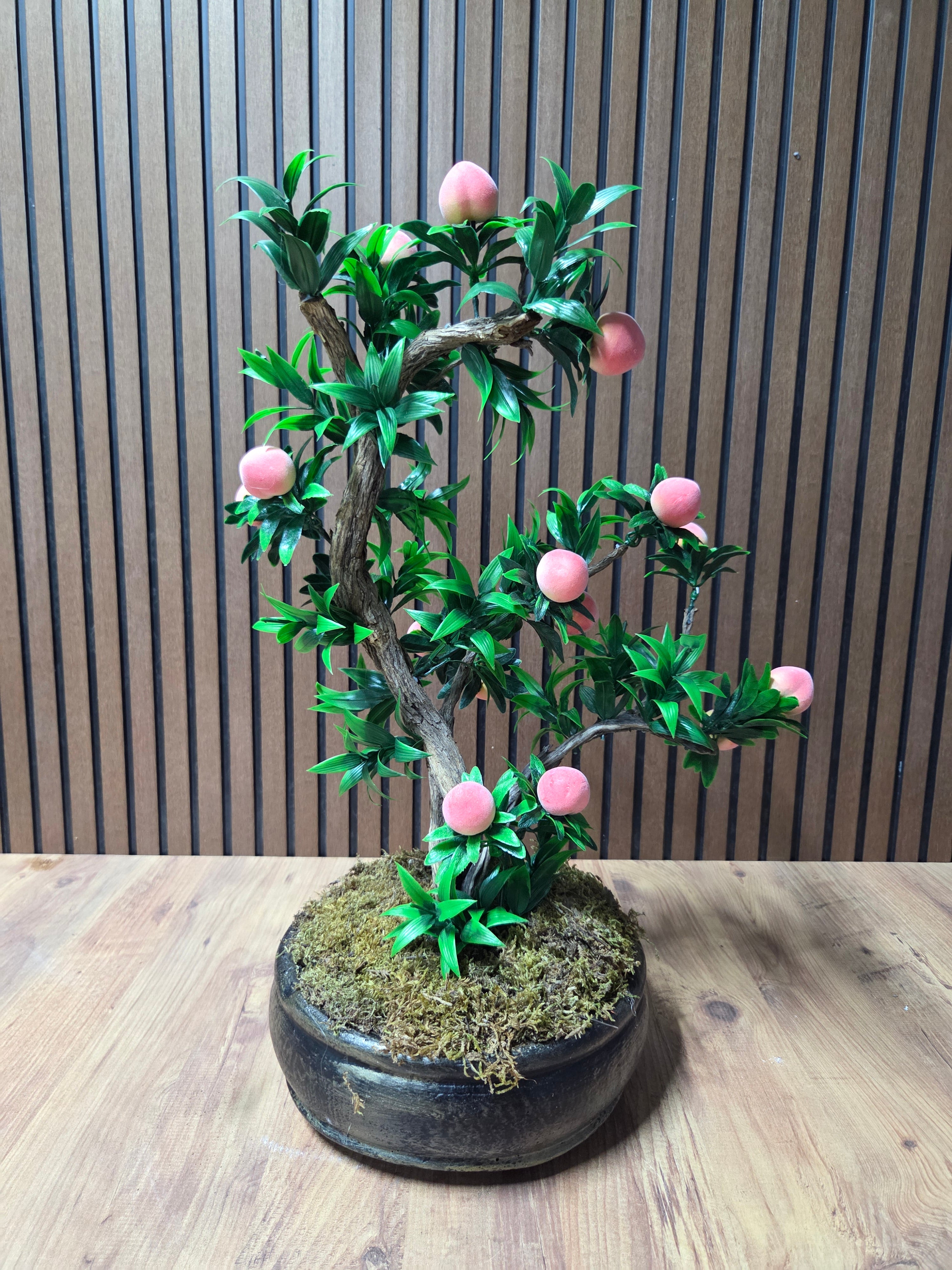 Eternal Peach Bonsai