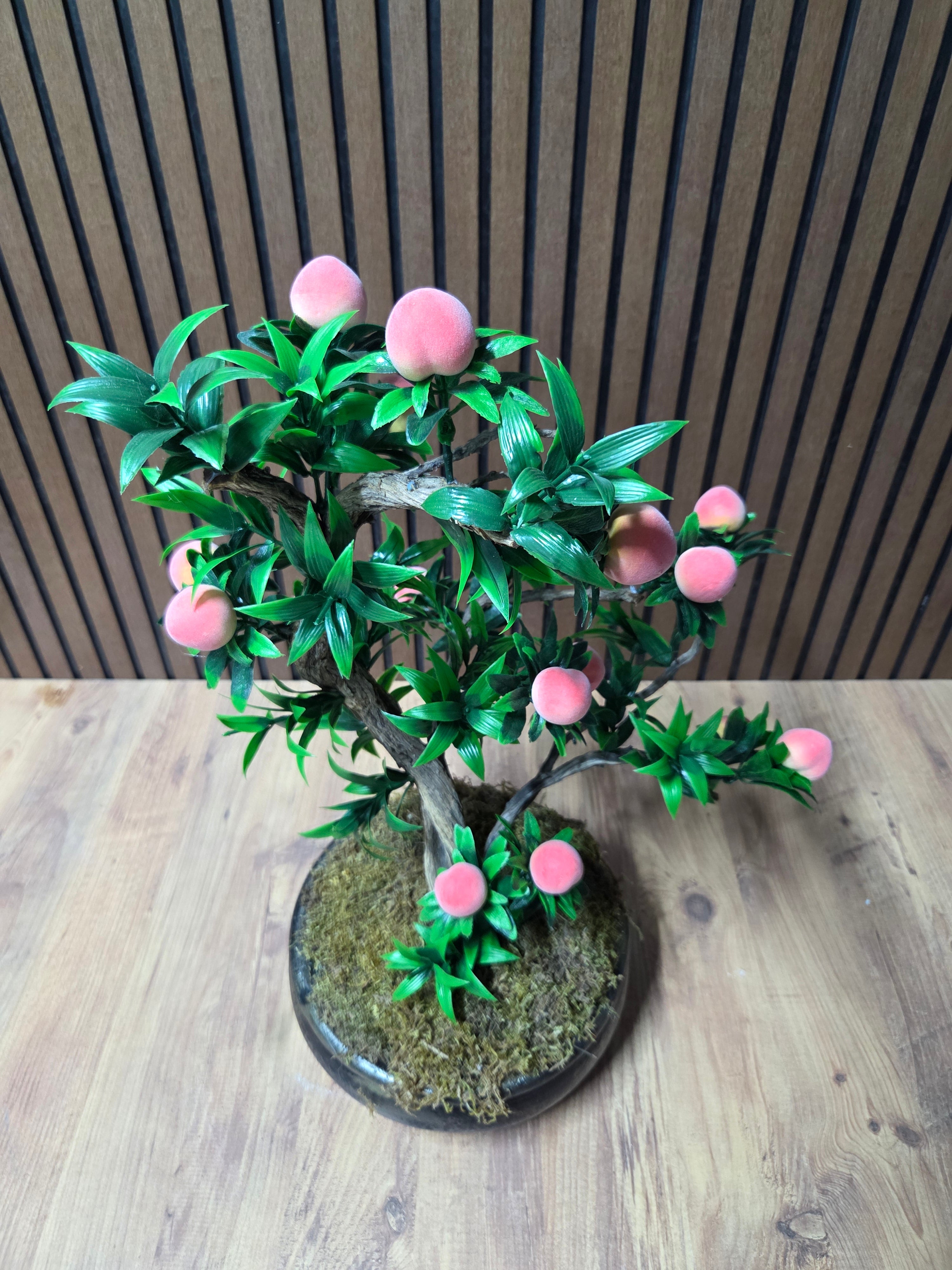 Eternal Peach Bonsai