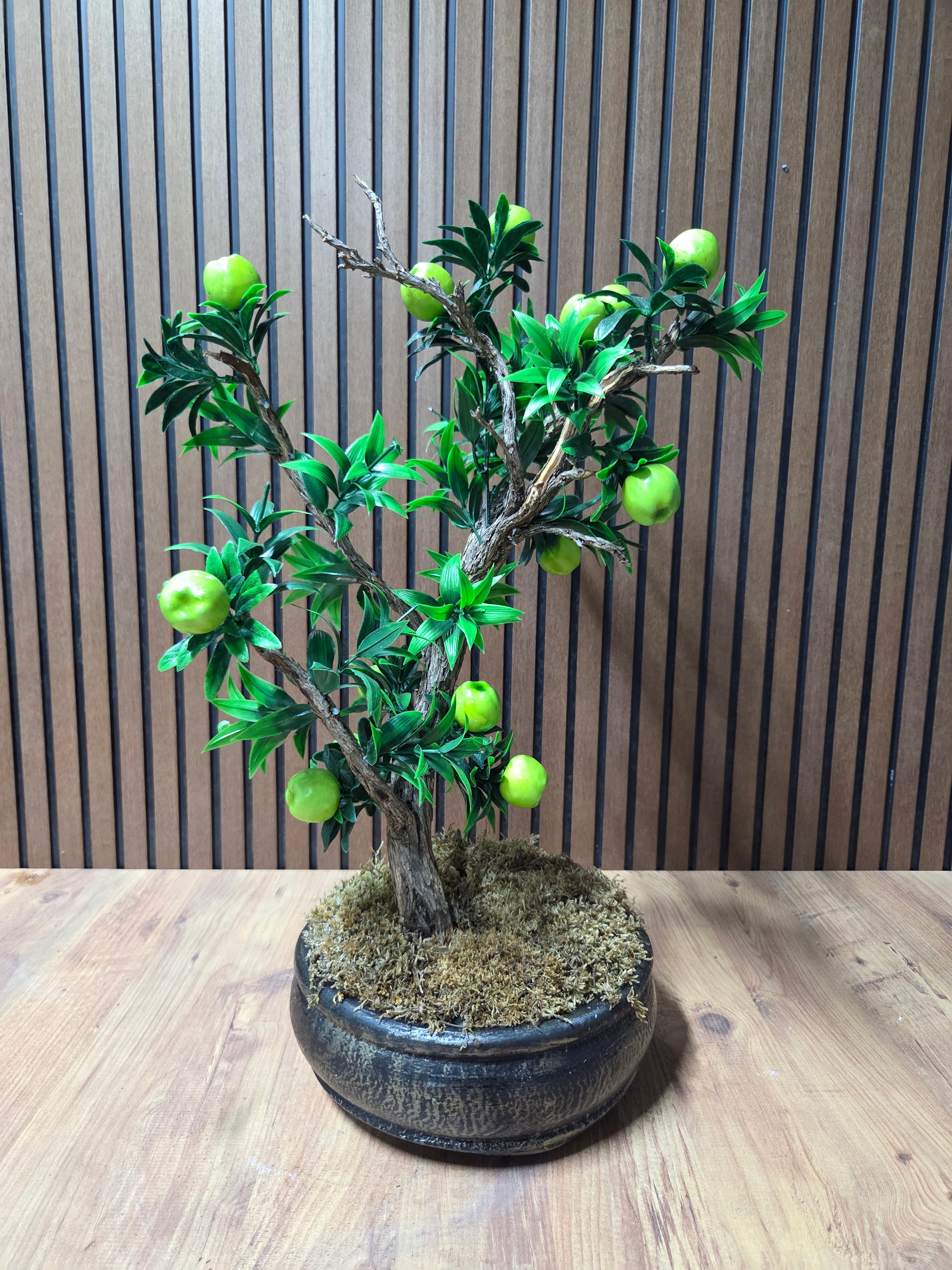 Eternal Apple Bonsai