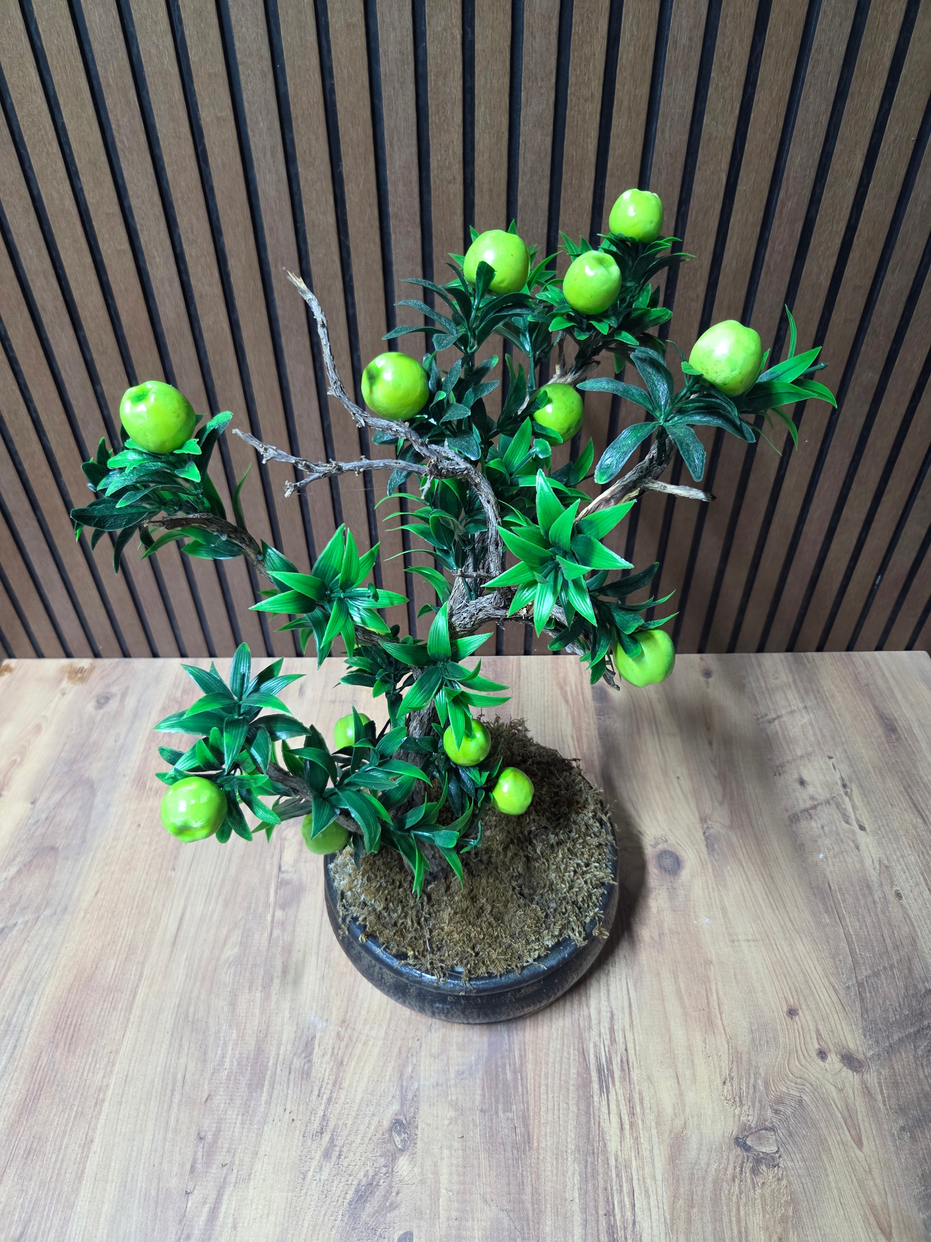 Eternal Apple Bonsai