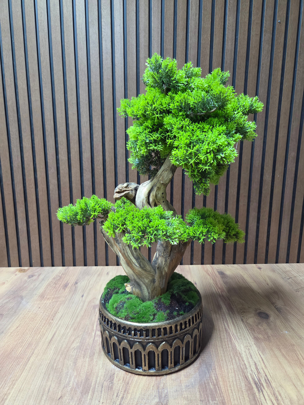 Eternal Pine Bonsai