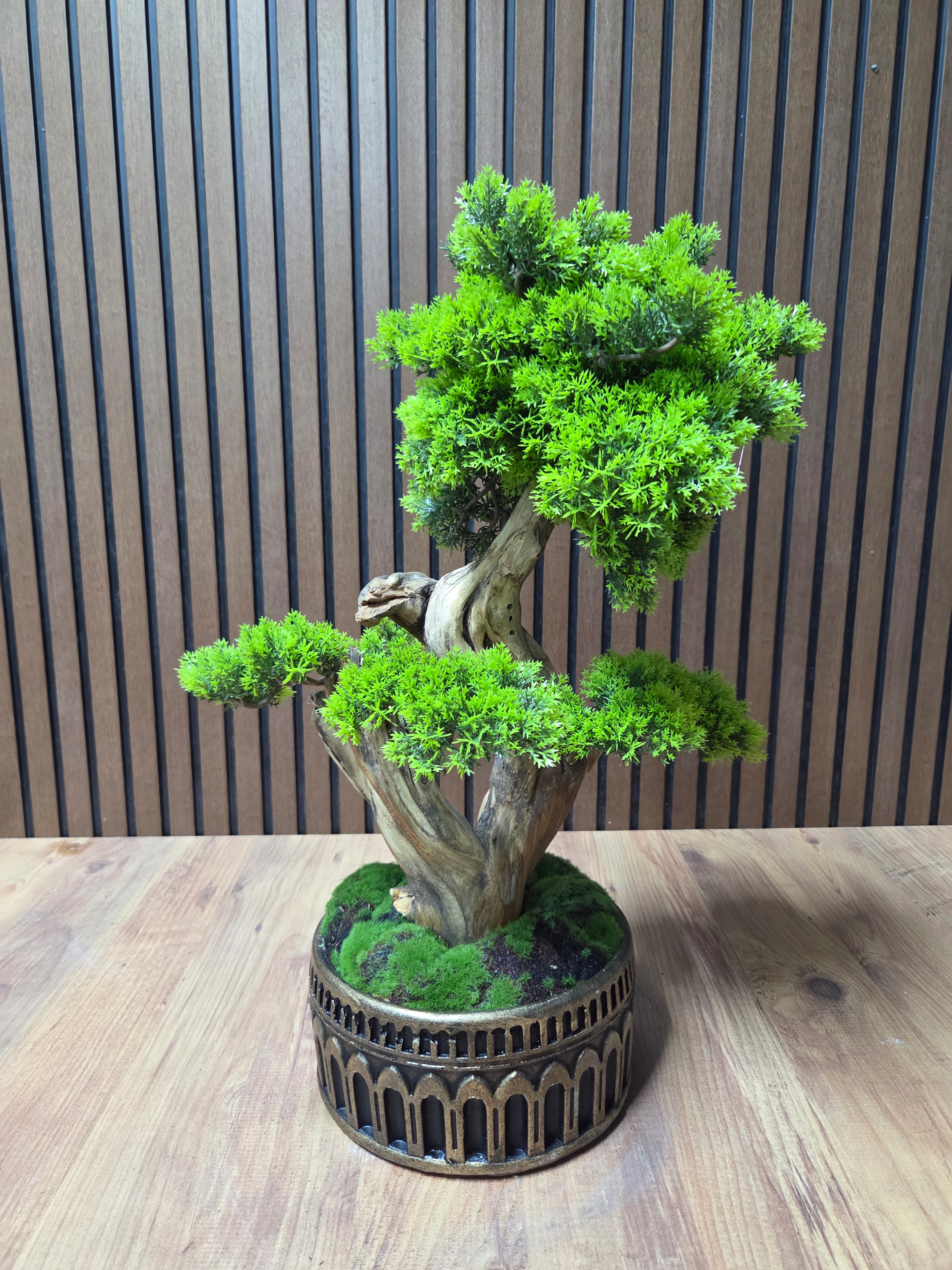 Eternal Pine Bonsai