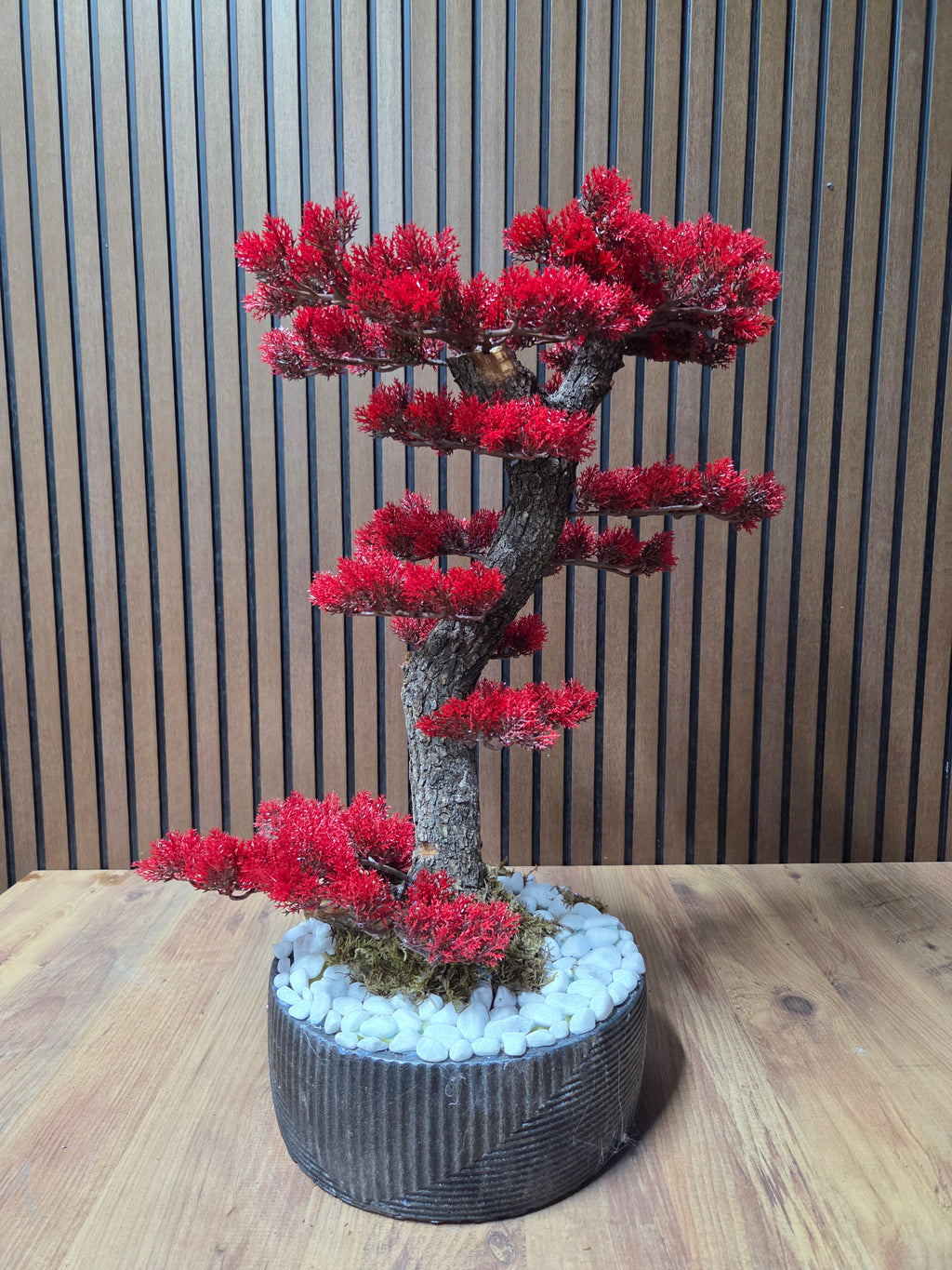 Crimson Harmony Bonsai