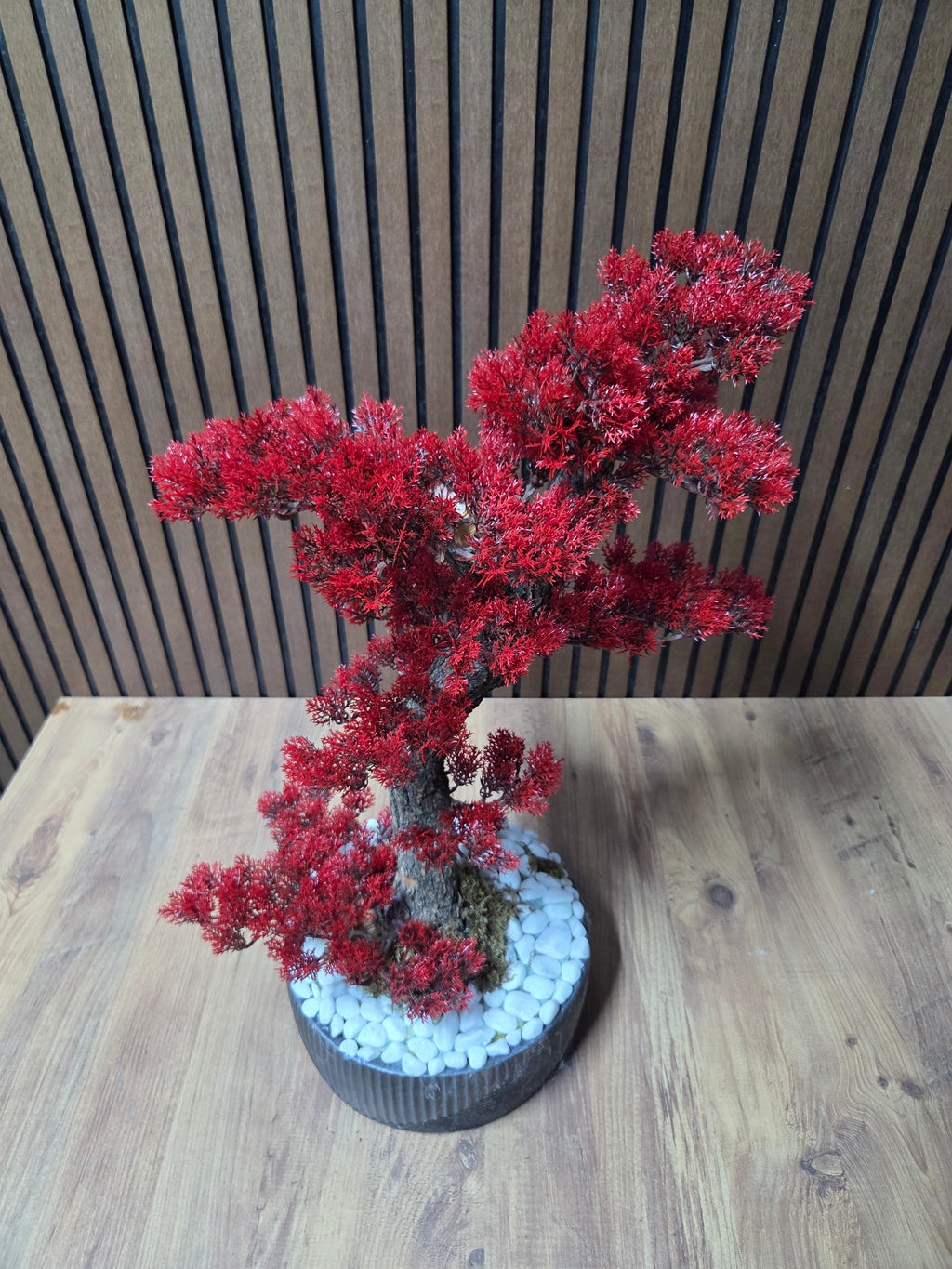 Crimson Harmony Bonsai