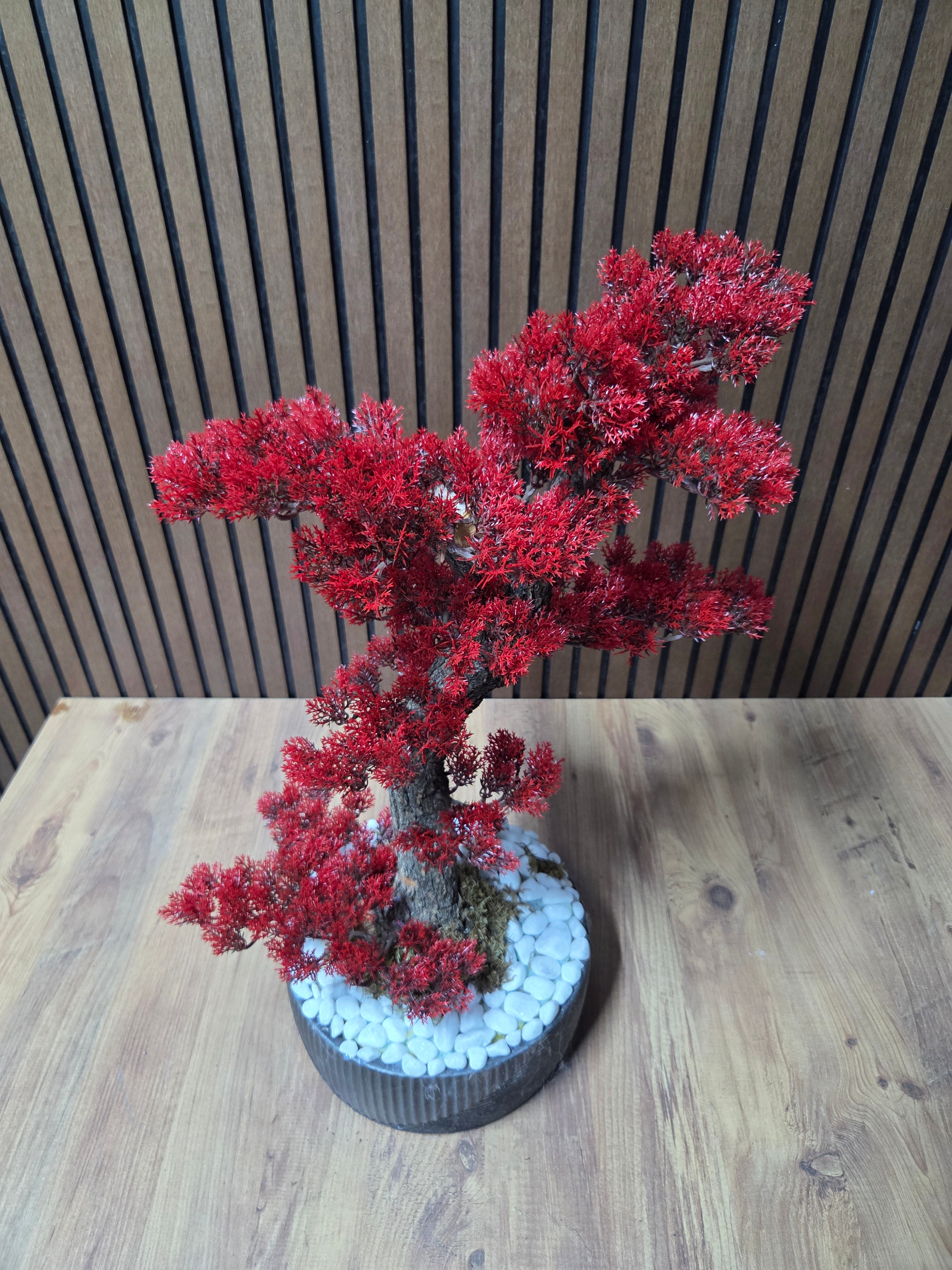 Crimson Harmony Bonsai
