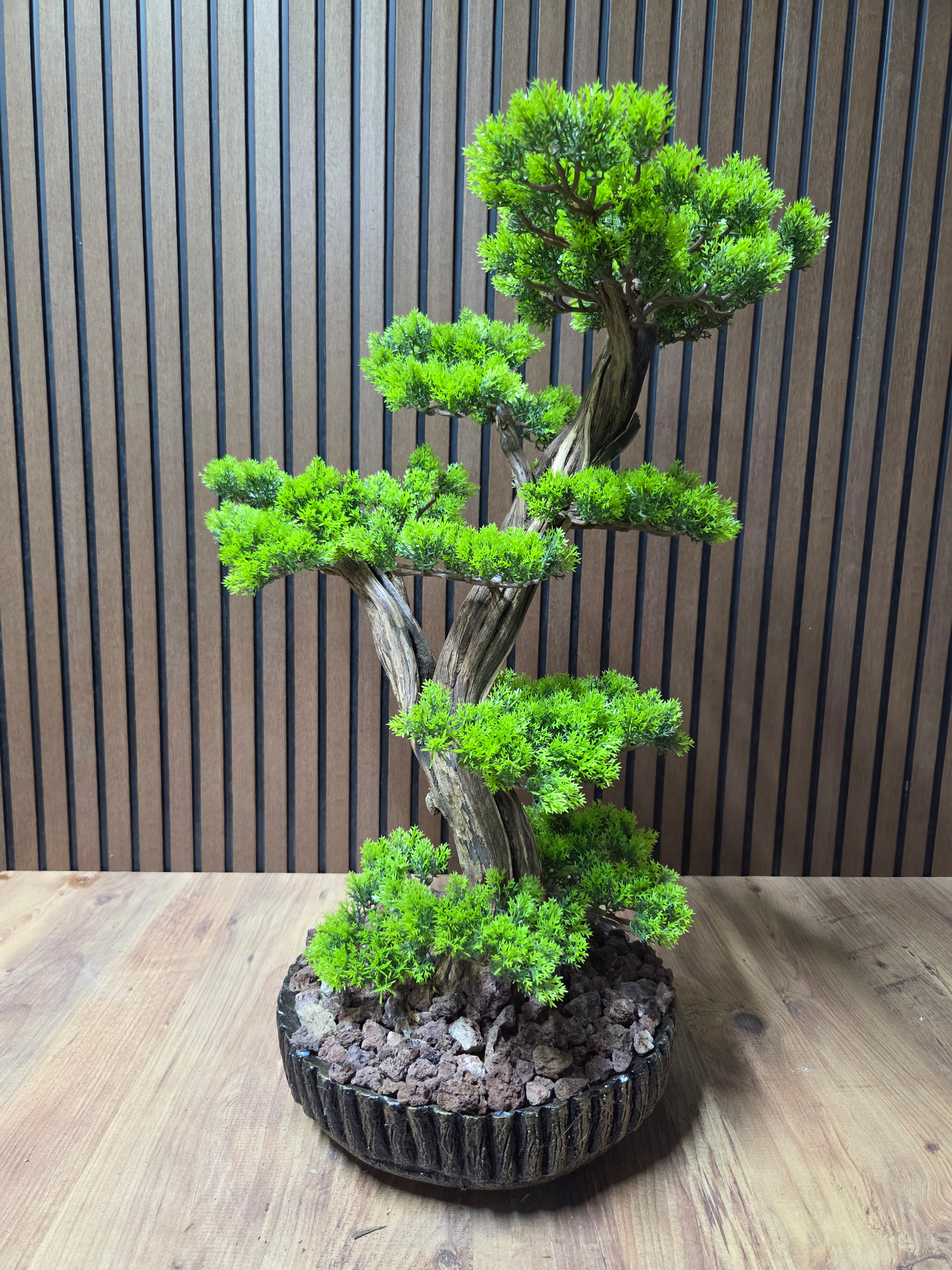 Zen Spirit Bonsai