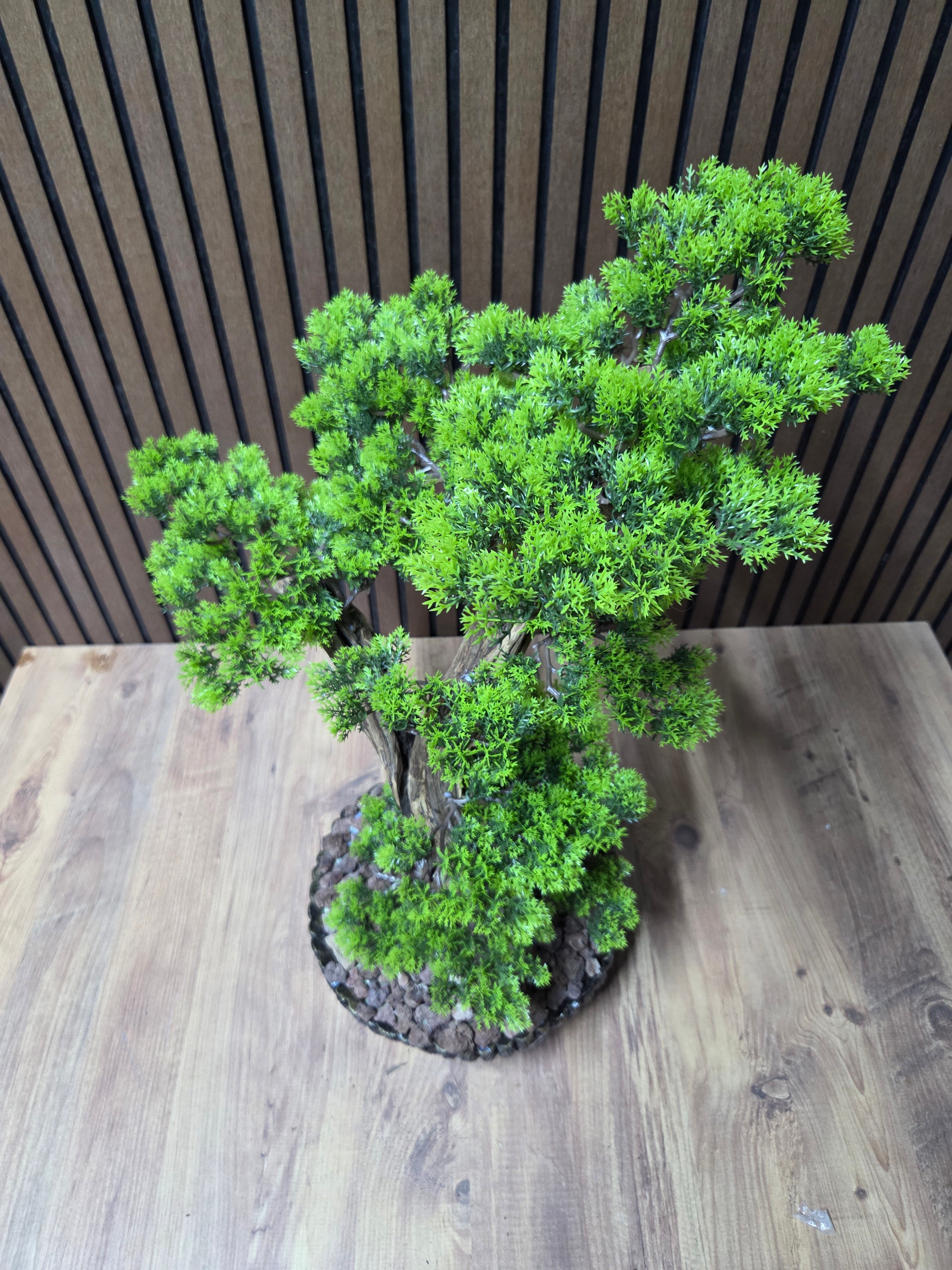 Zen Spirit Bonsai