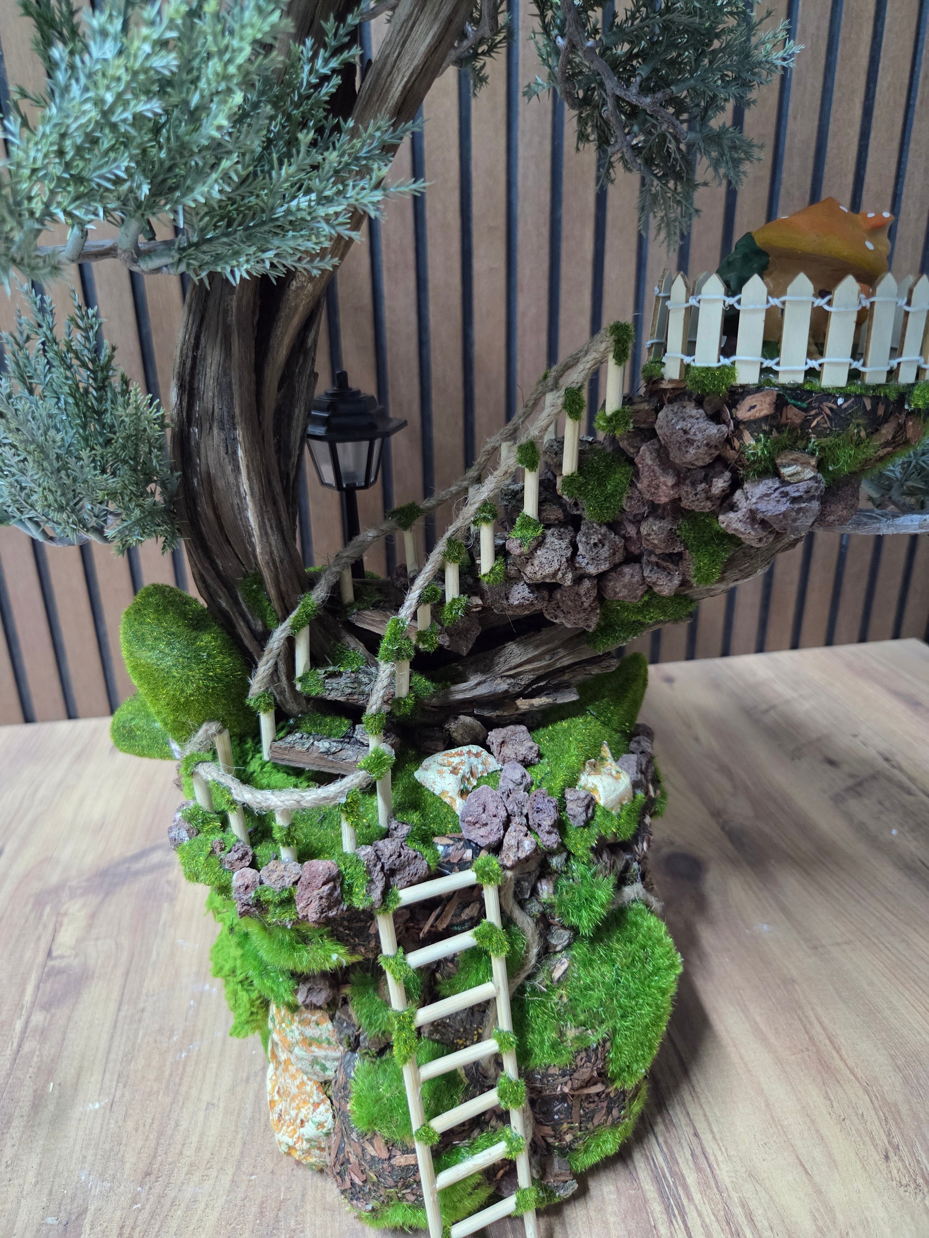Dream Garden Bonsai