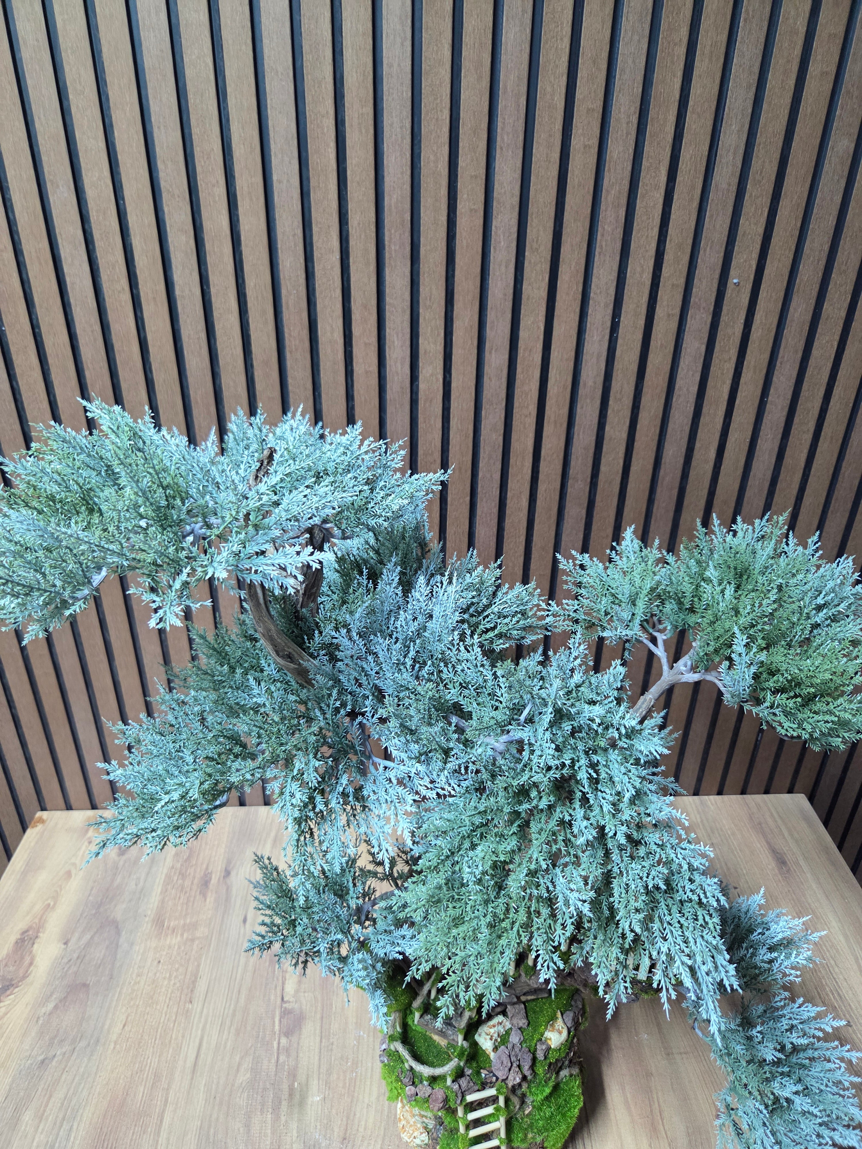 Dream Garden Bonsai