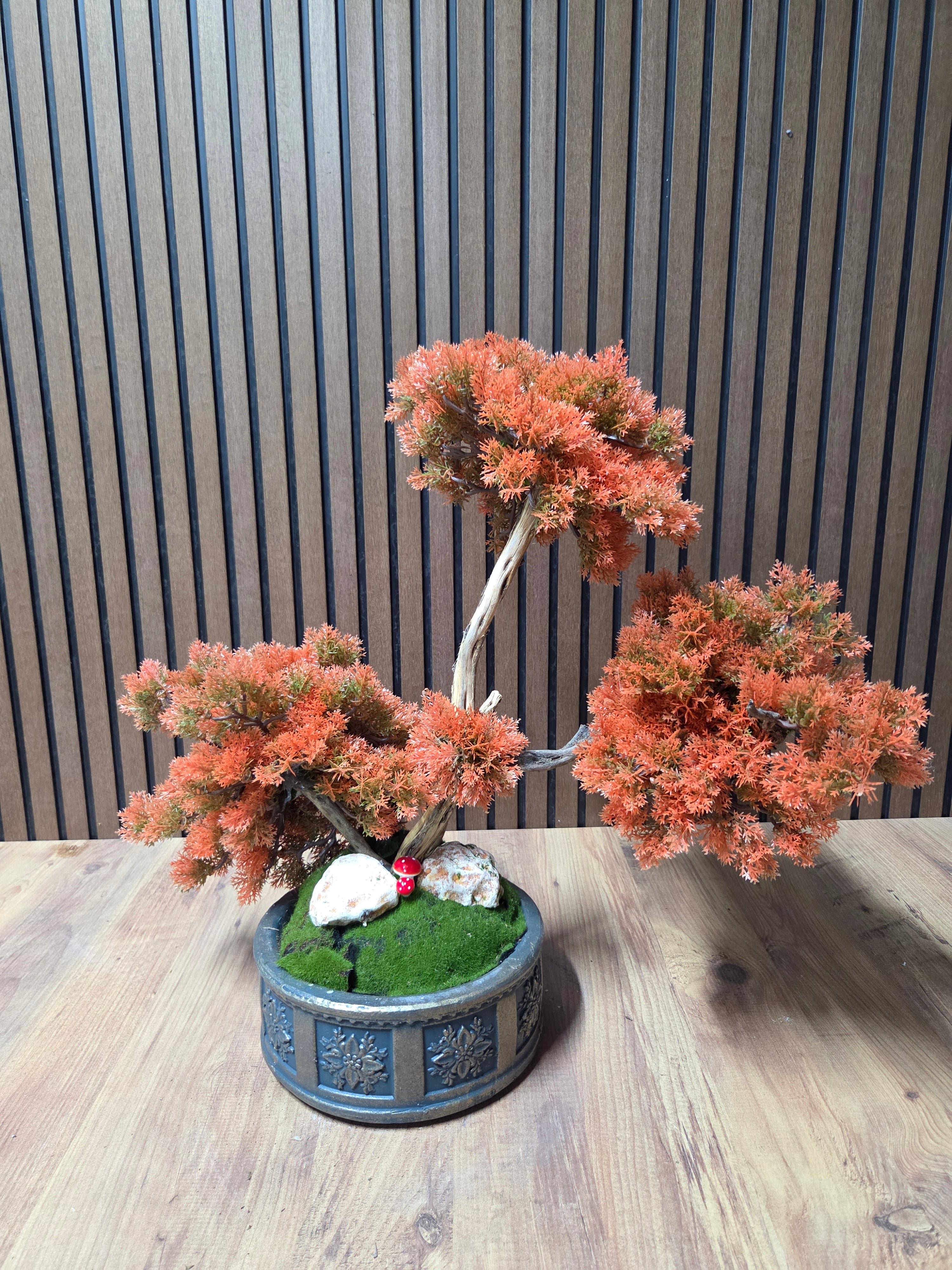 Autumn Dream Bonsai
