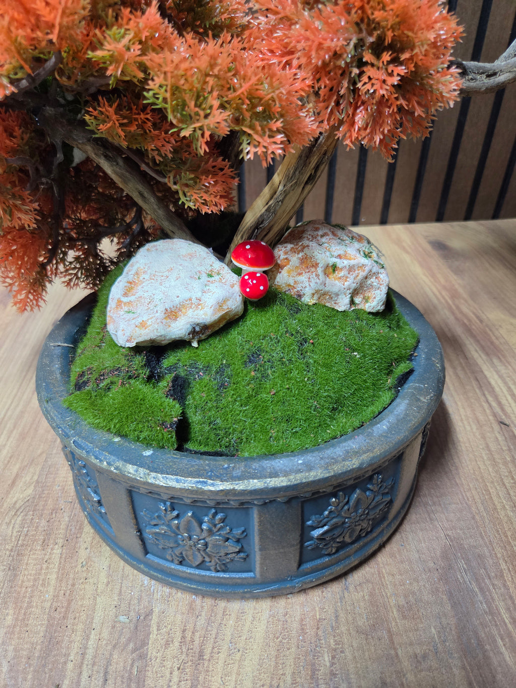 Autumn Dream Bonsai