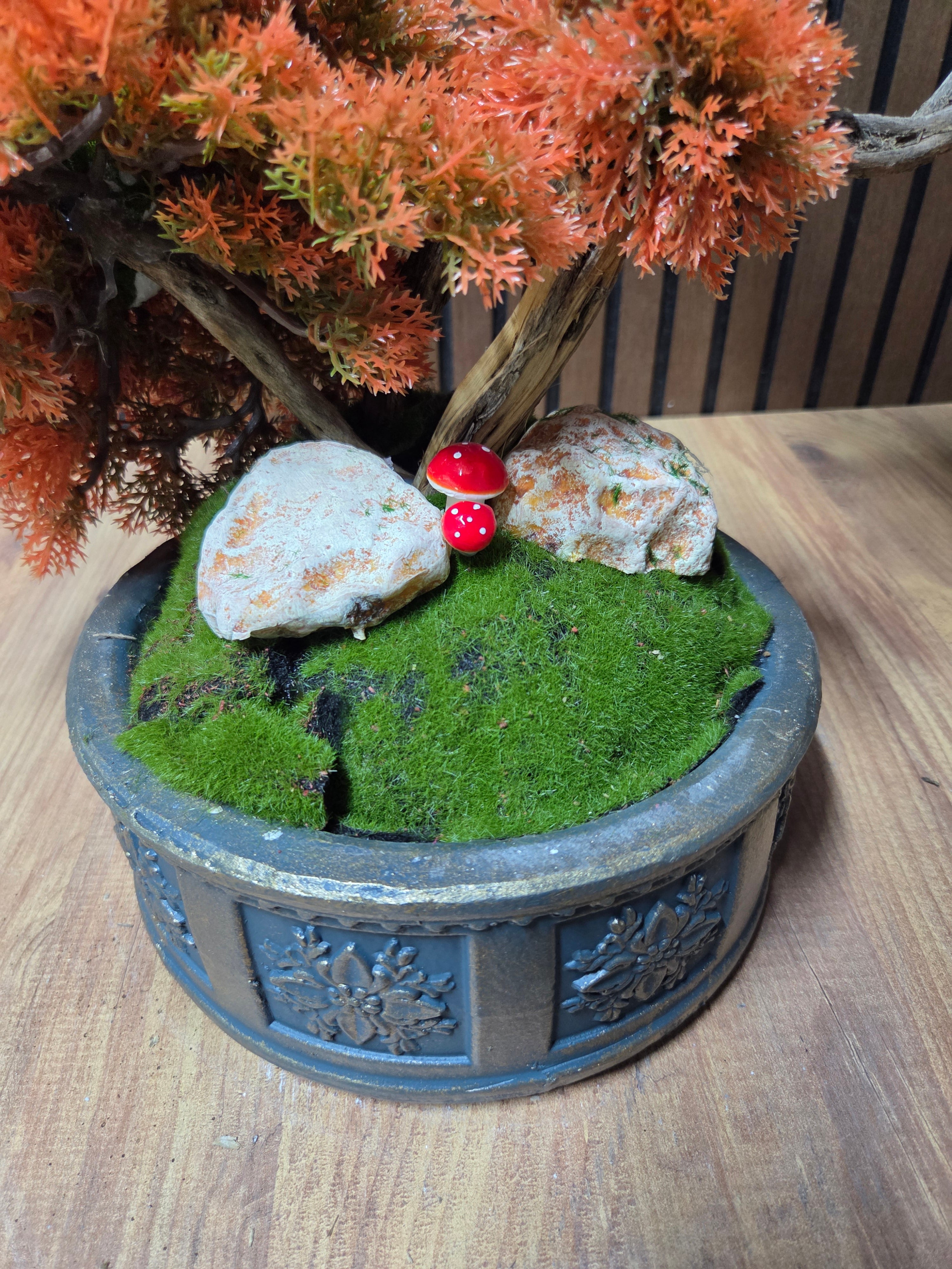 Autumn Dream Bonsai