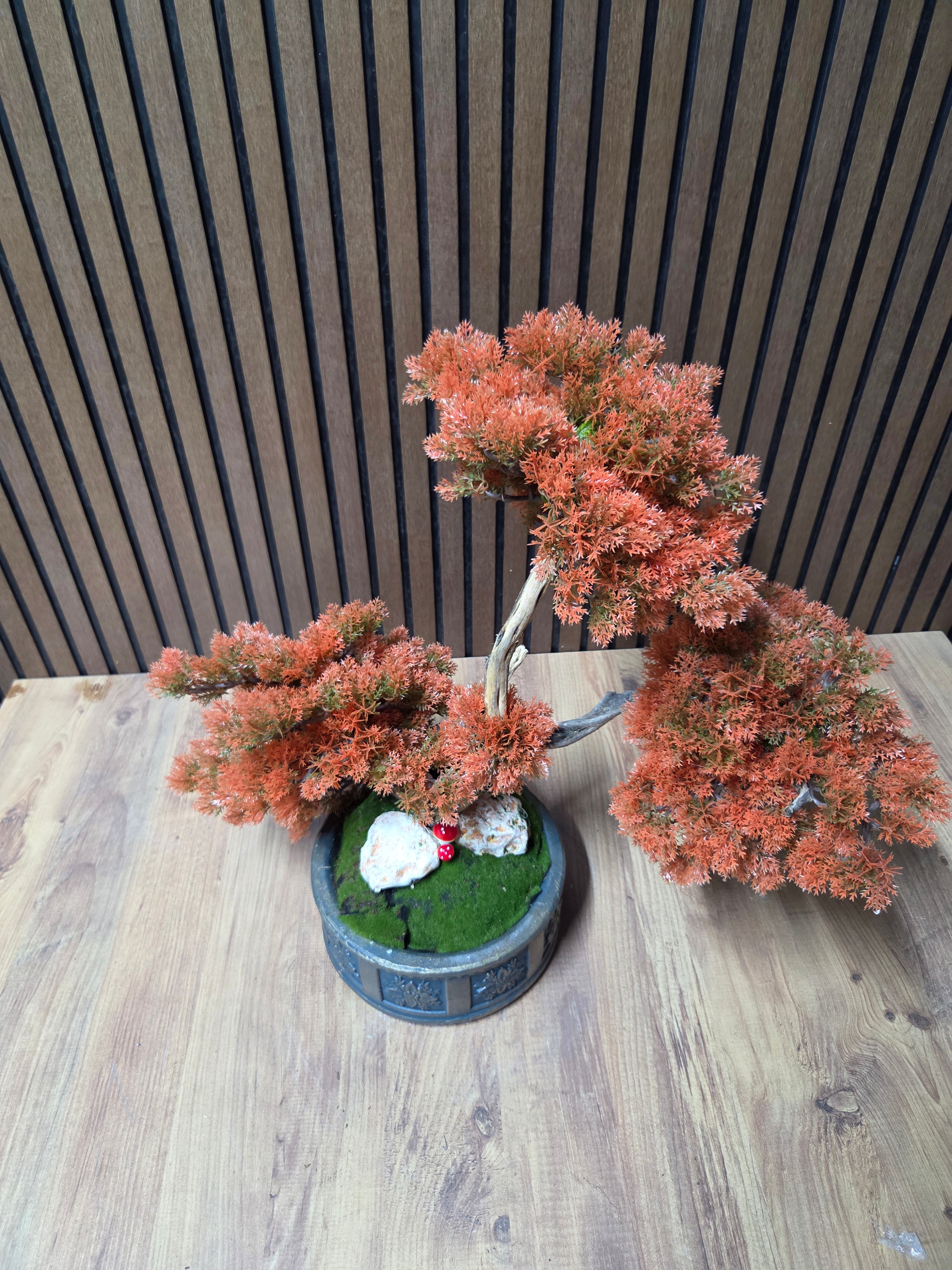Autumn Dream Bonsai