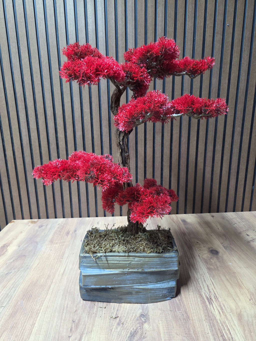 Crimson Elegance Bonsai