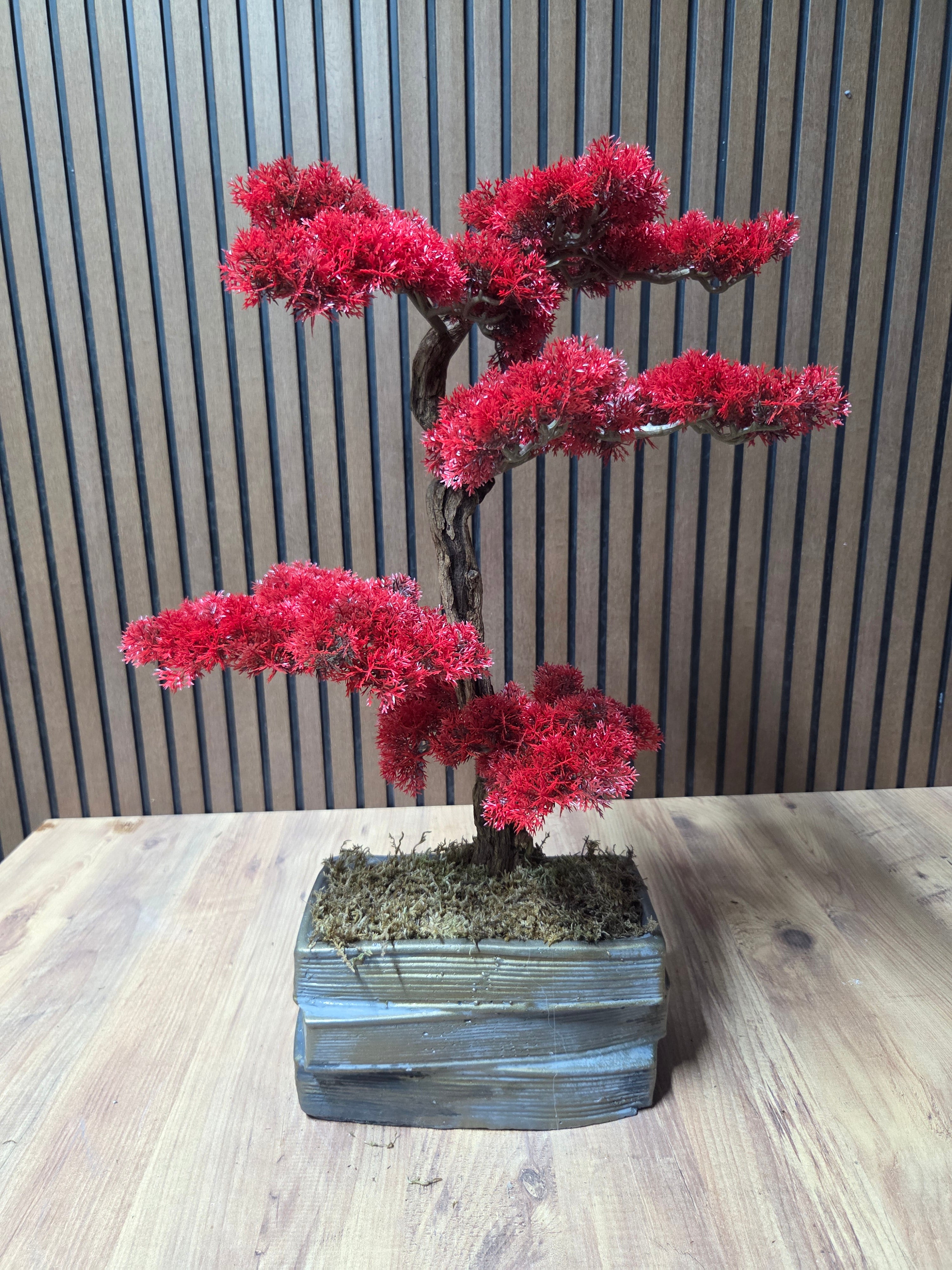 Crimson Elegance Bonsai
