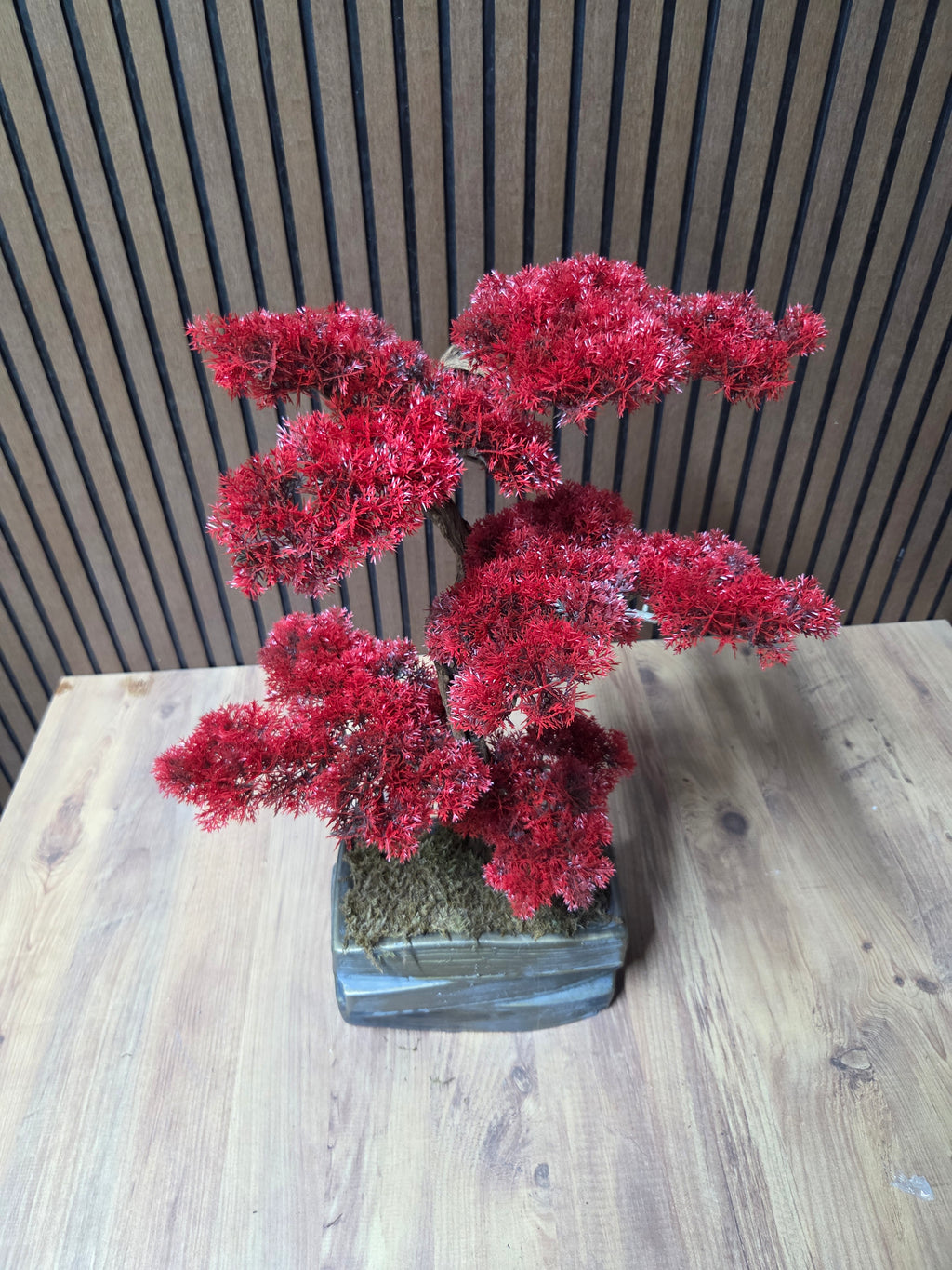 Crimson Elegance Bonsai