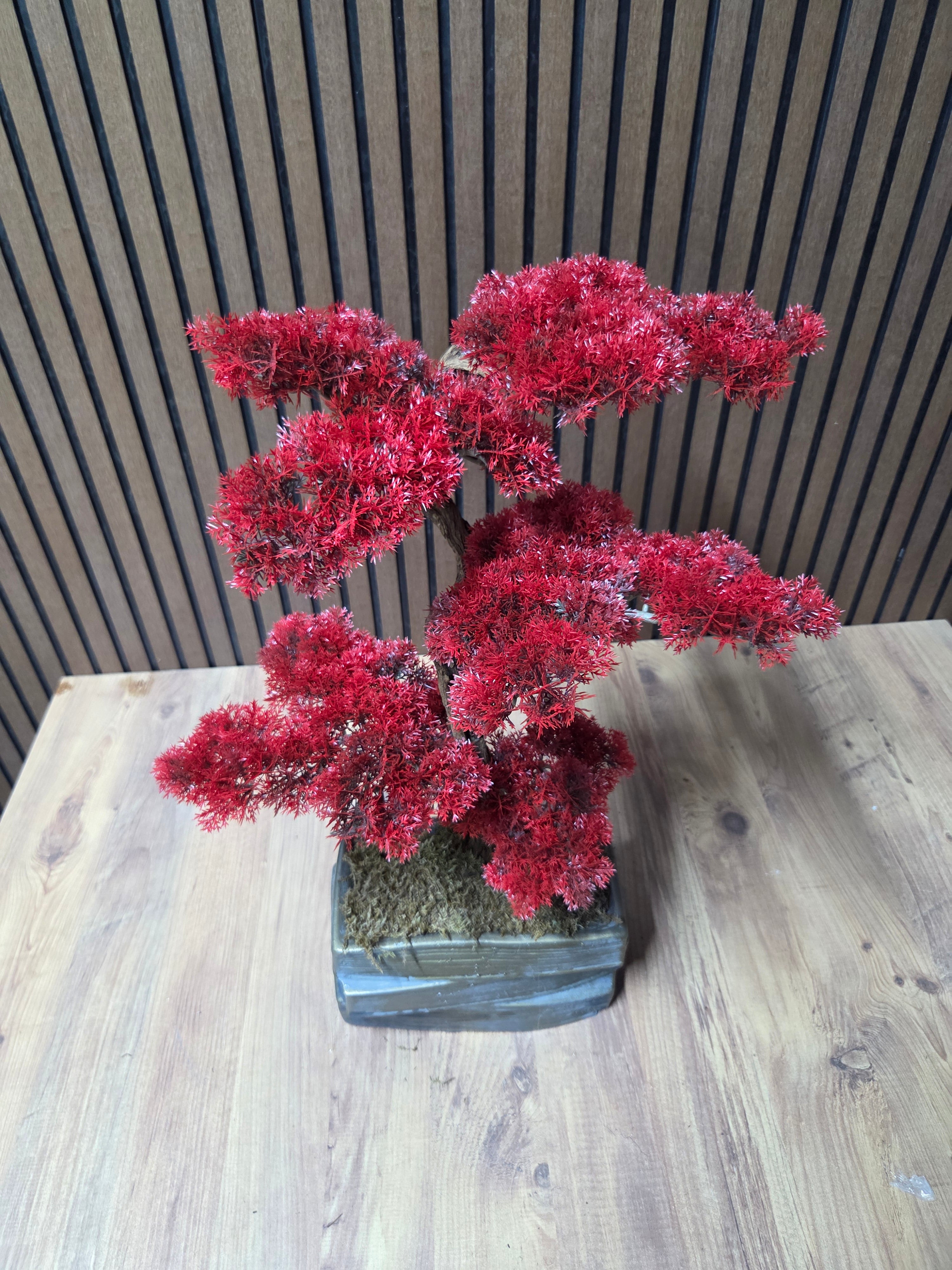 Crimson Elegance Bonsai